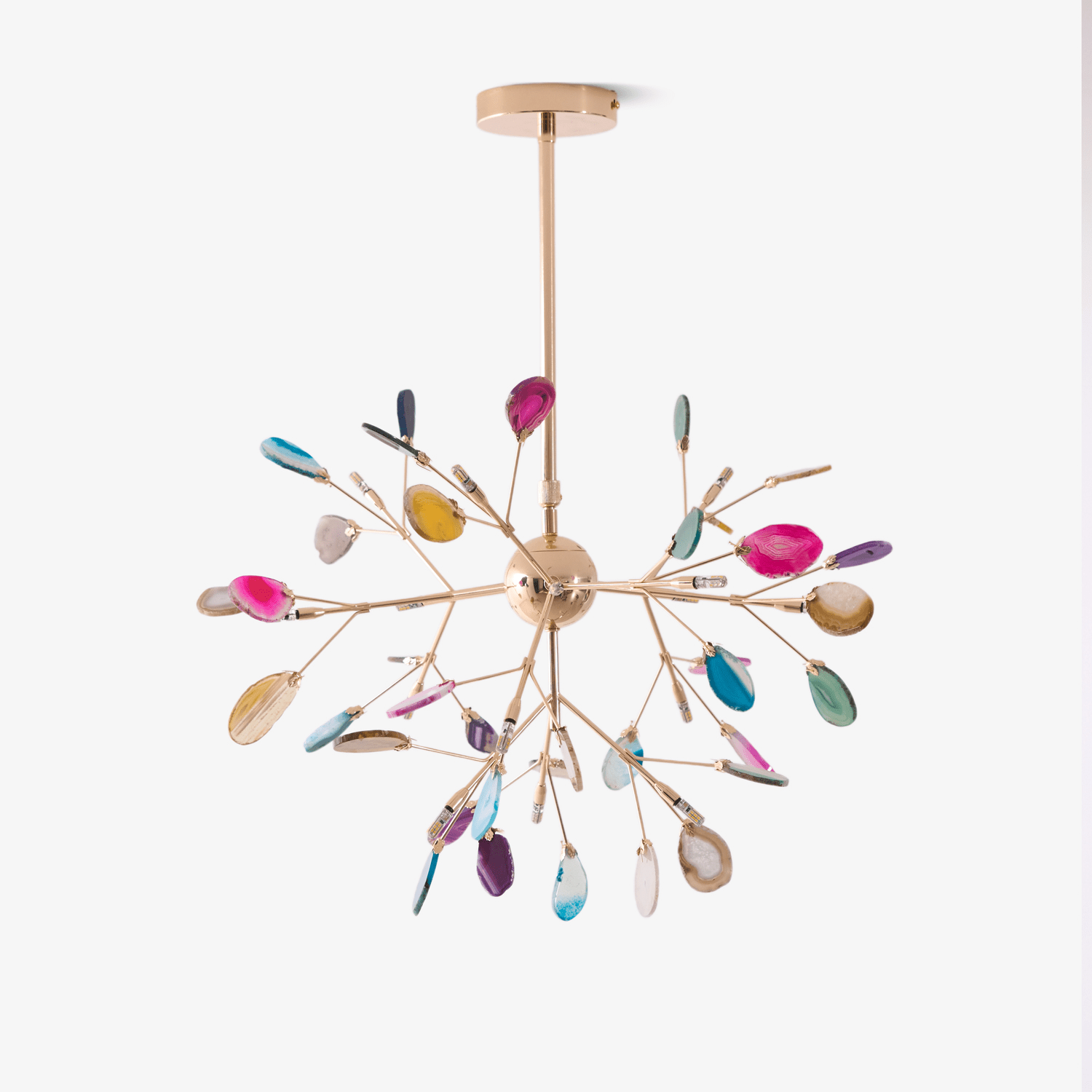 Lustra Lustre Feuille Colorée Bras Dorés
