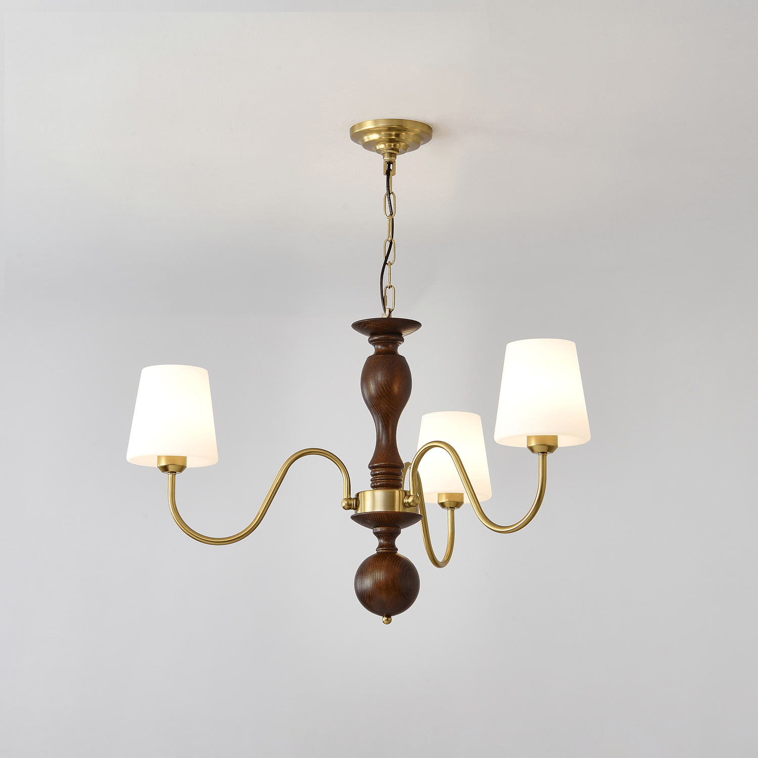 Lustra Lustre Laiton Bois Rustique Vintage