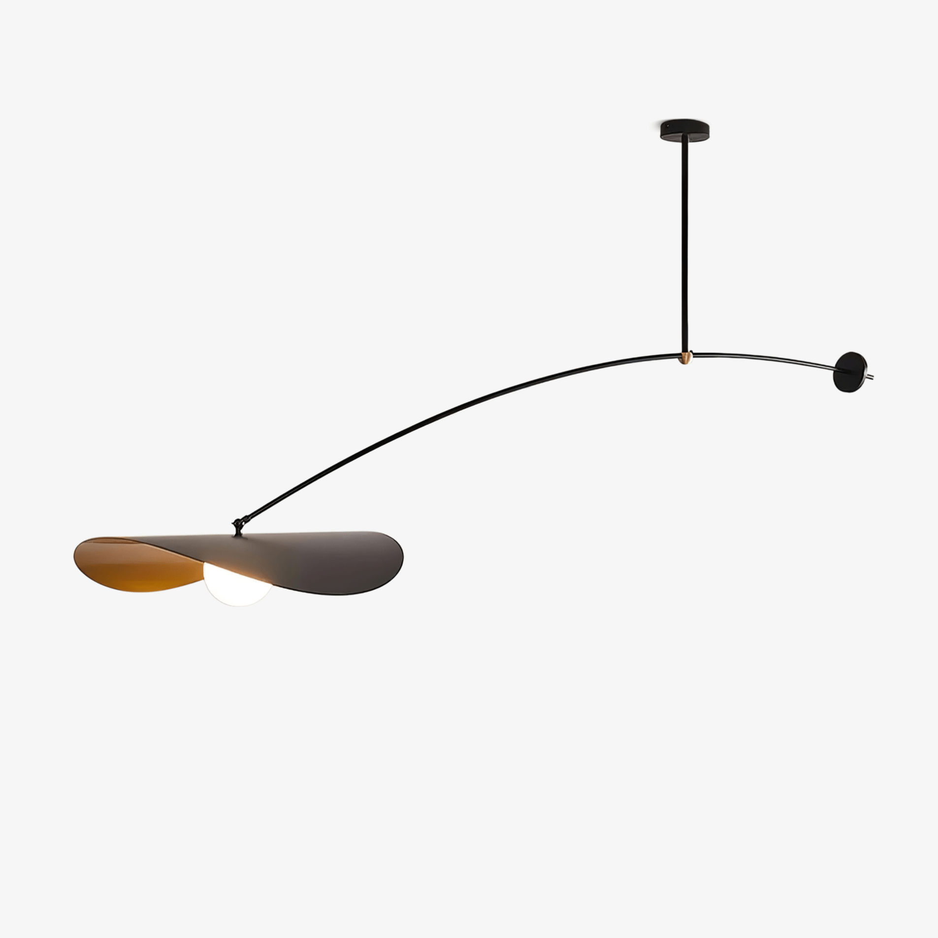 Arcflow Dynamique Courbe Suspension Lumière