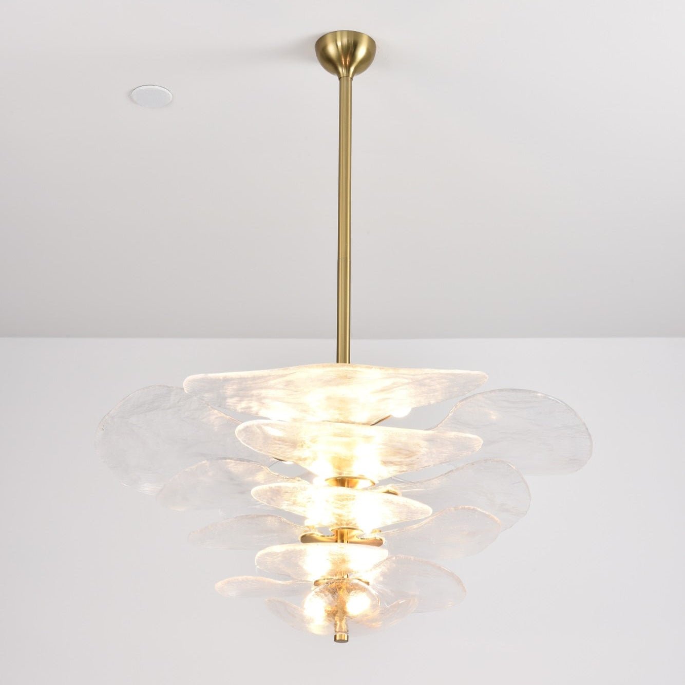 Aurora Lustre Pétale en Verre Murano Doré Luxe