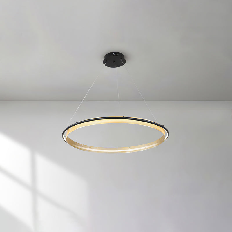 Erveliel Lustre Rond Métal Minimaliste Moderne