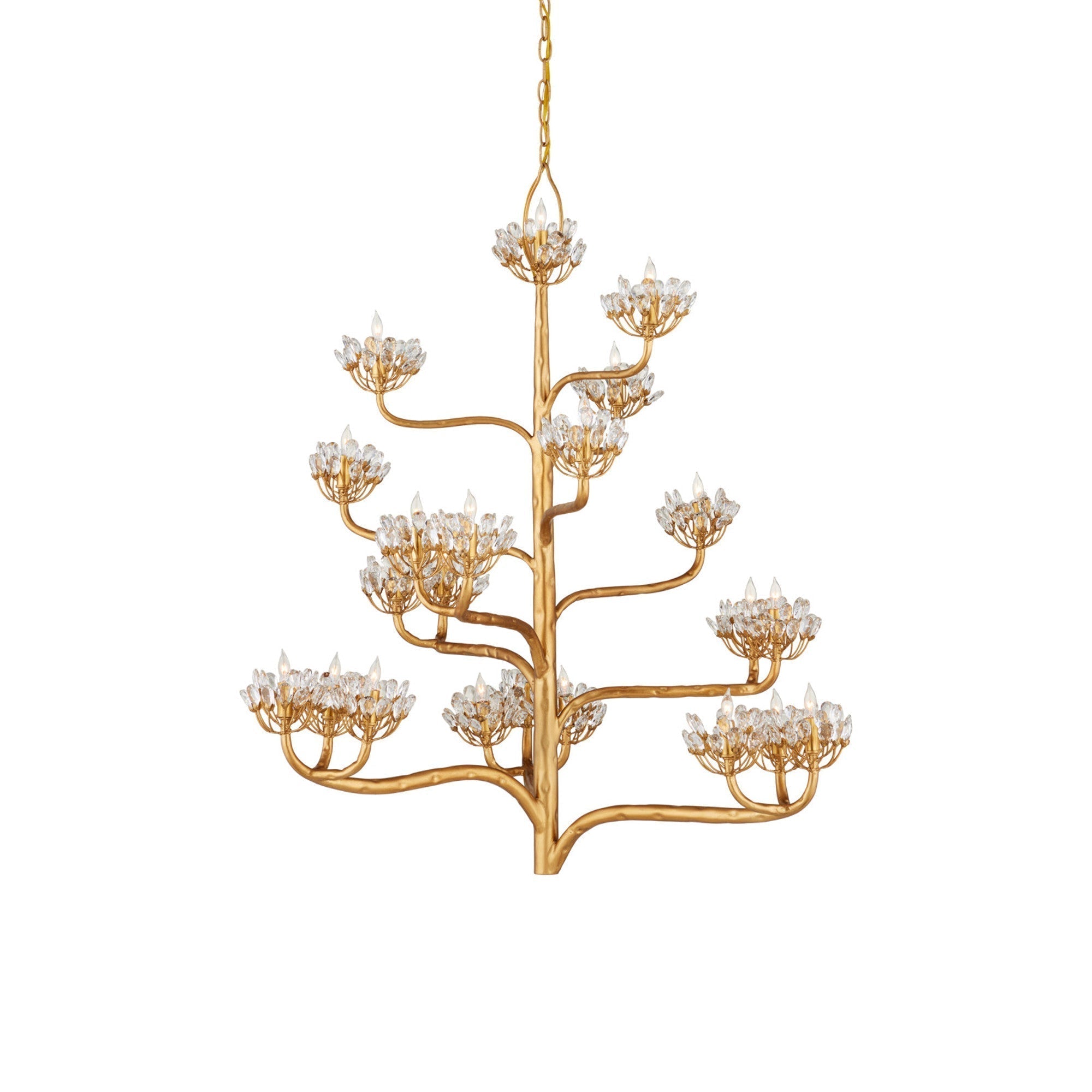 Agave Lustre en Cristal Luxueux