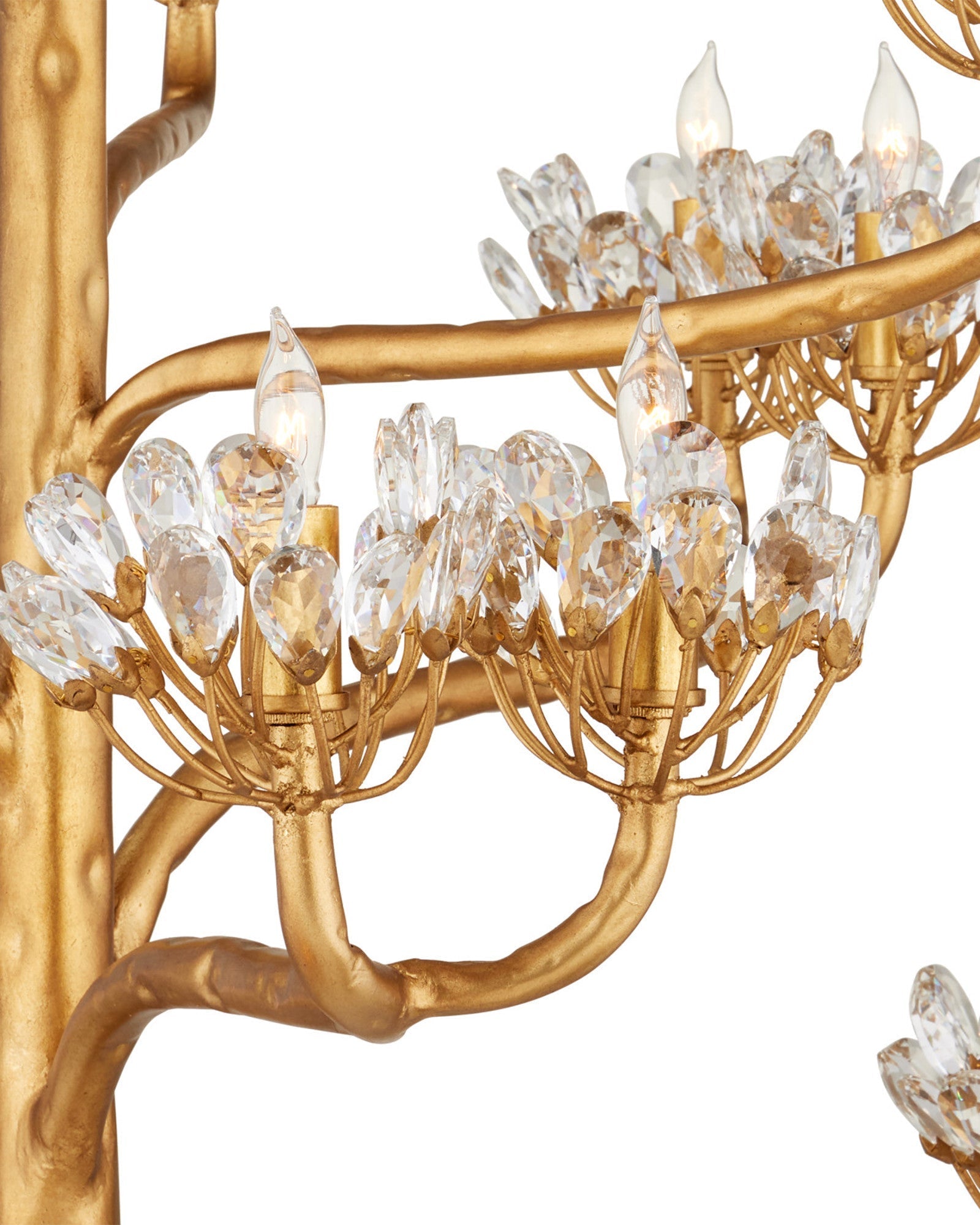 Agave Lustre en Cristal Luxueux
