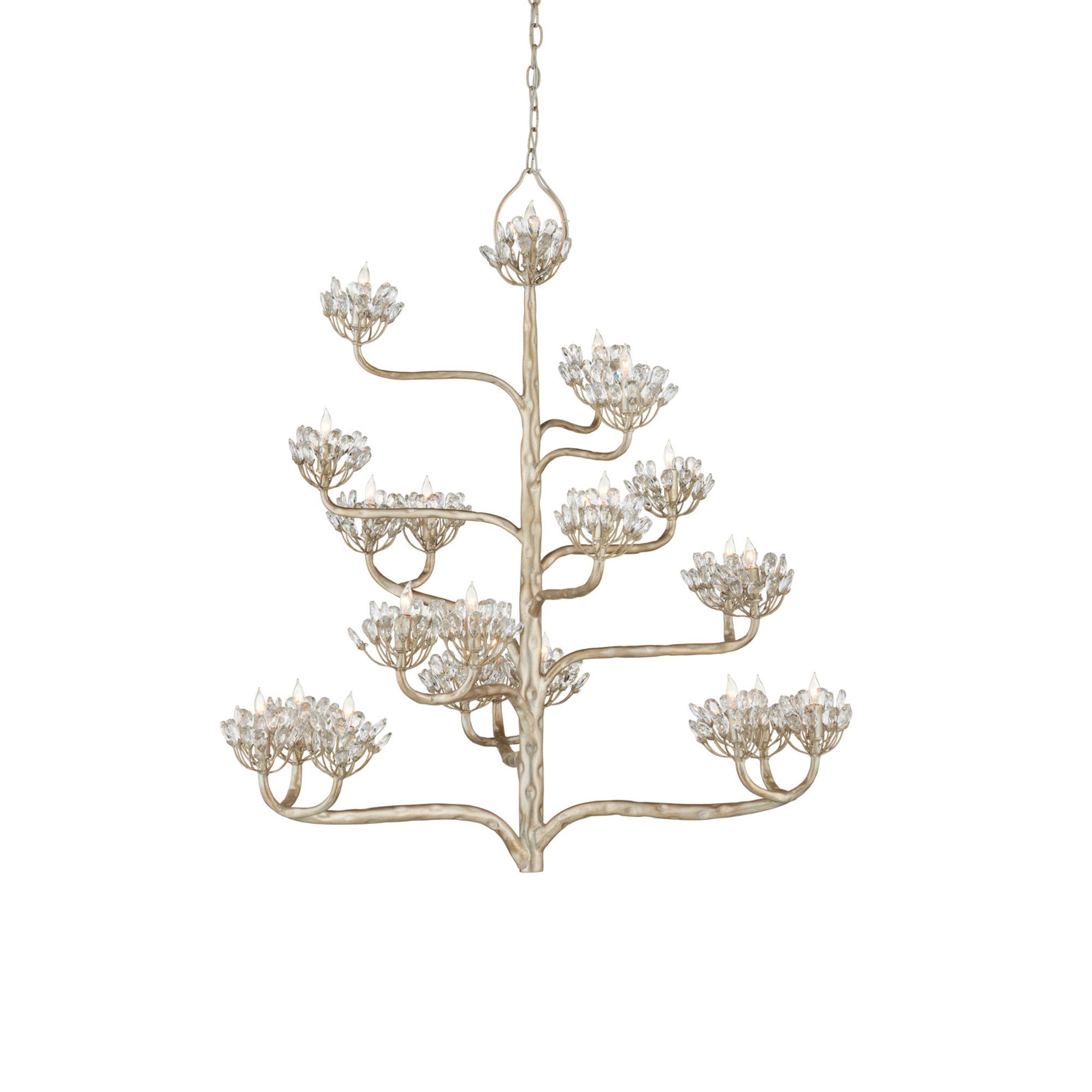 Agave Lustre en Cristal Luxueux