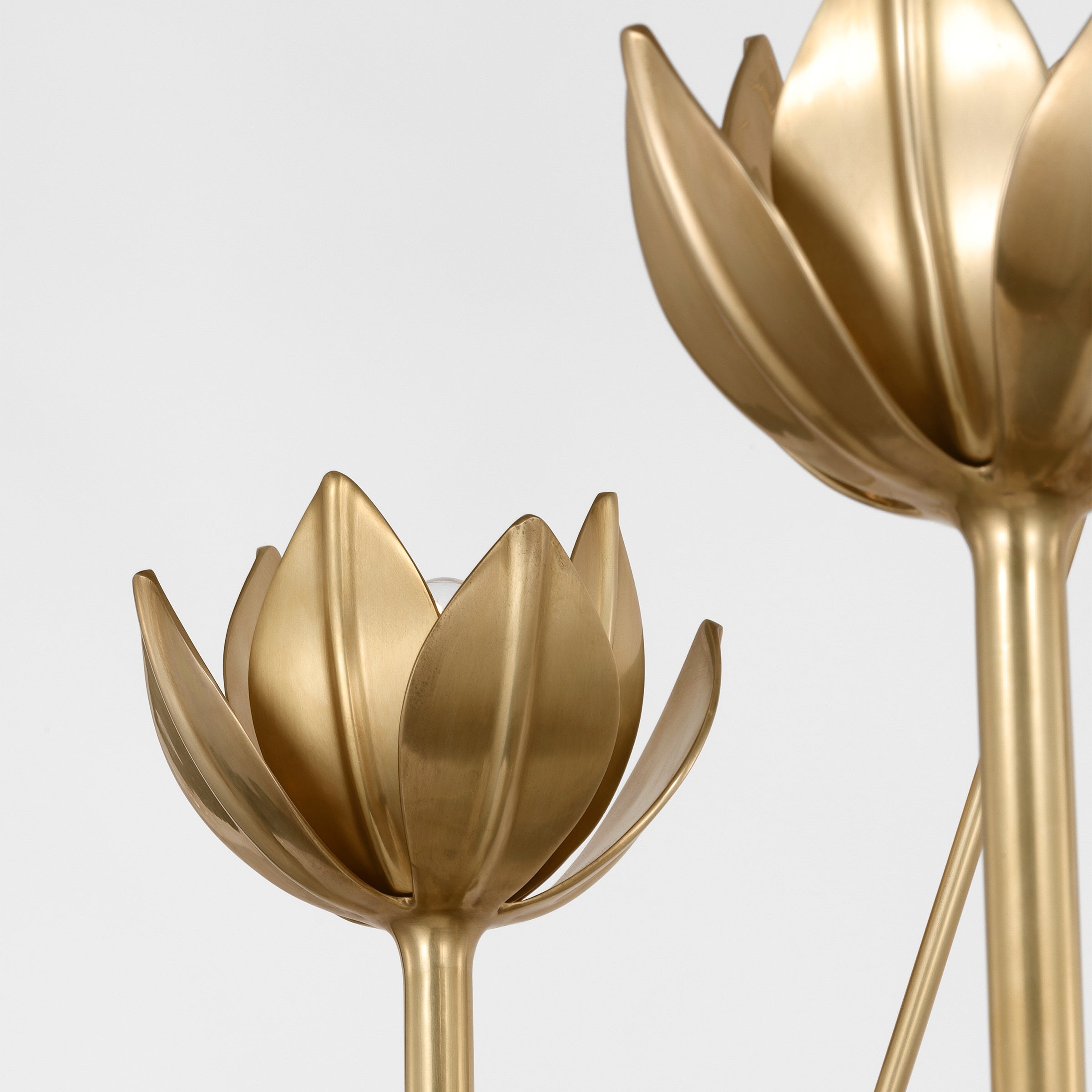 Alberto Lustre Laiton Floral Moderne Salon