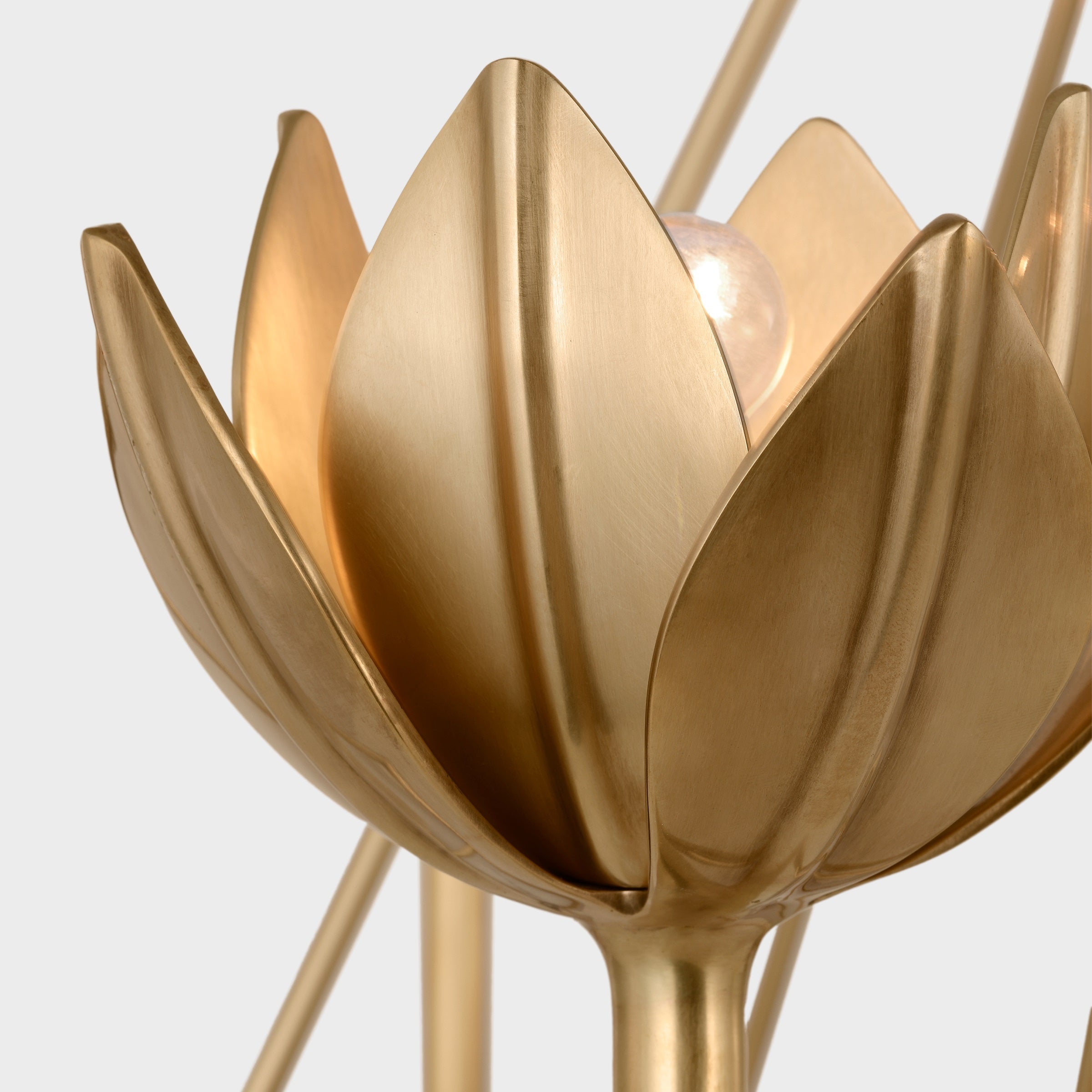 Alberto Lustre Laiton Floral Moderne Salon