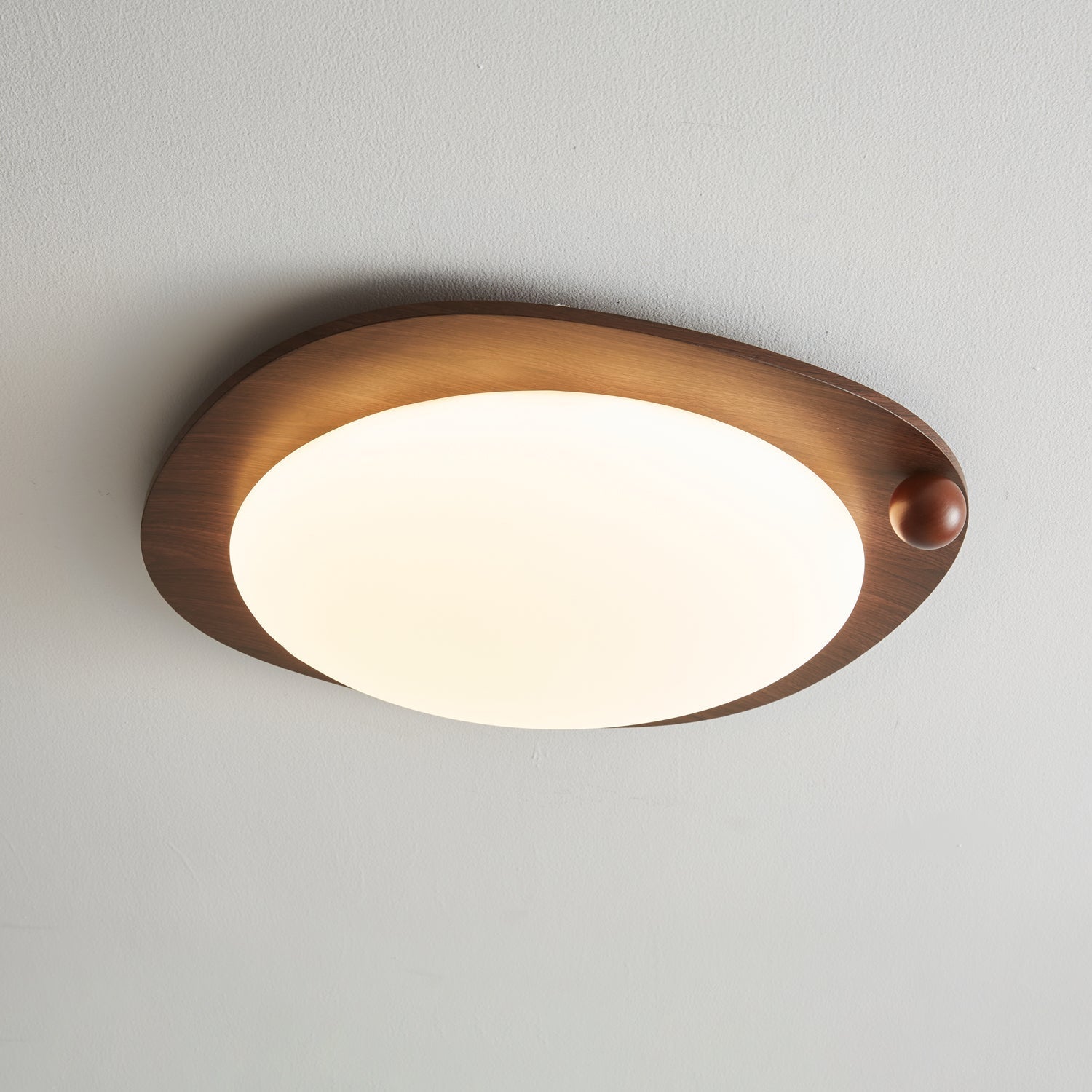 Velaee Lampe Plafonnier Art Nordic Premium