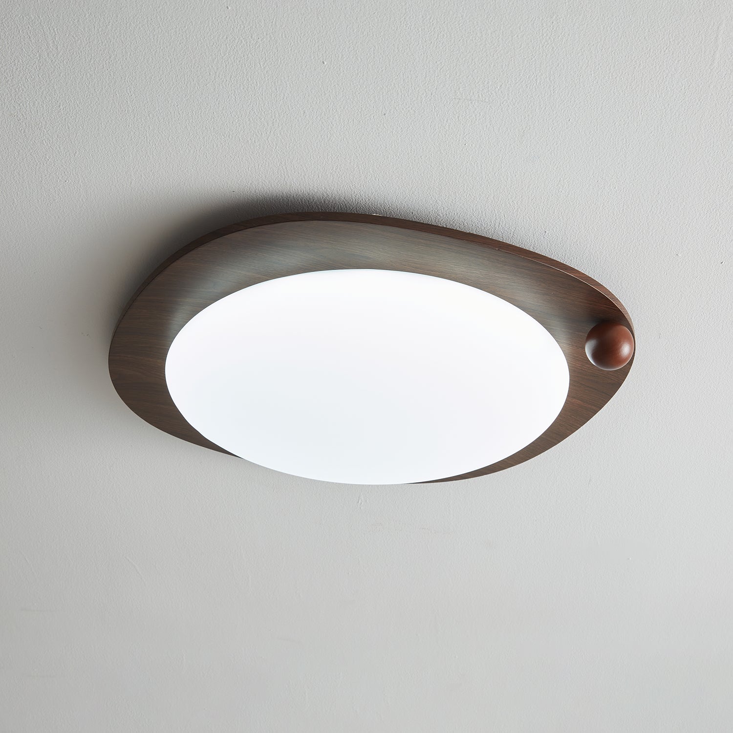 Velaee Lampe Plafonnier Art Nordic Premium