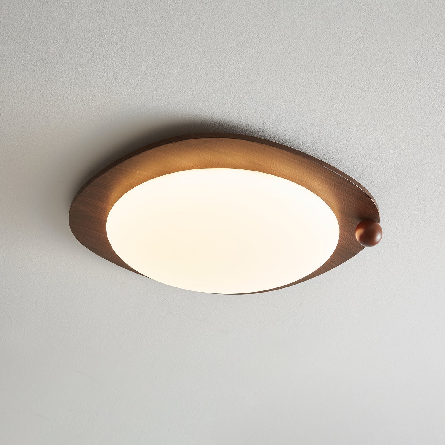 Velaee Lampe Plafonnier Art Nordic Premium