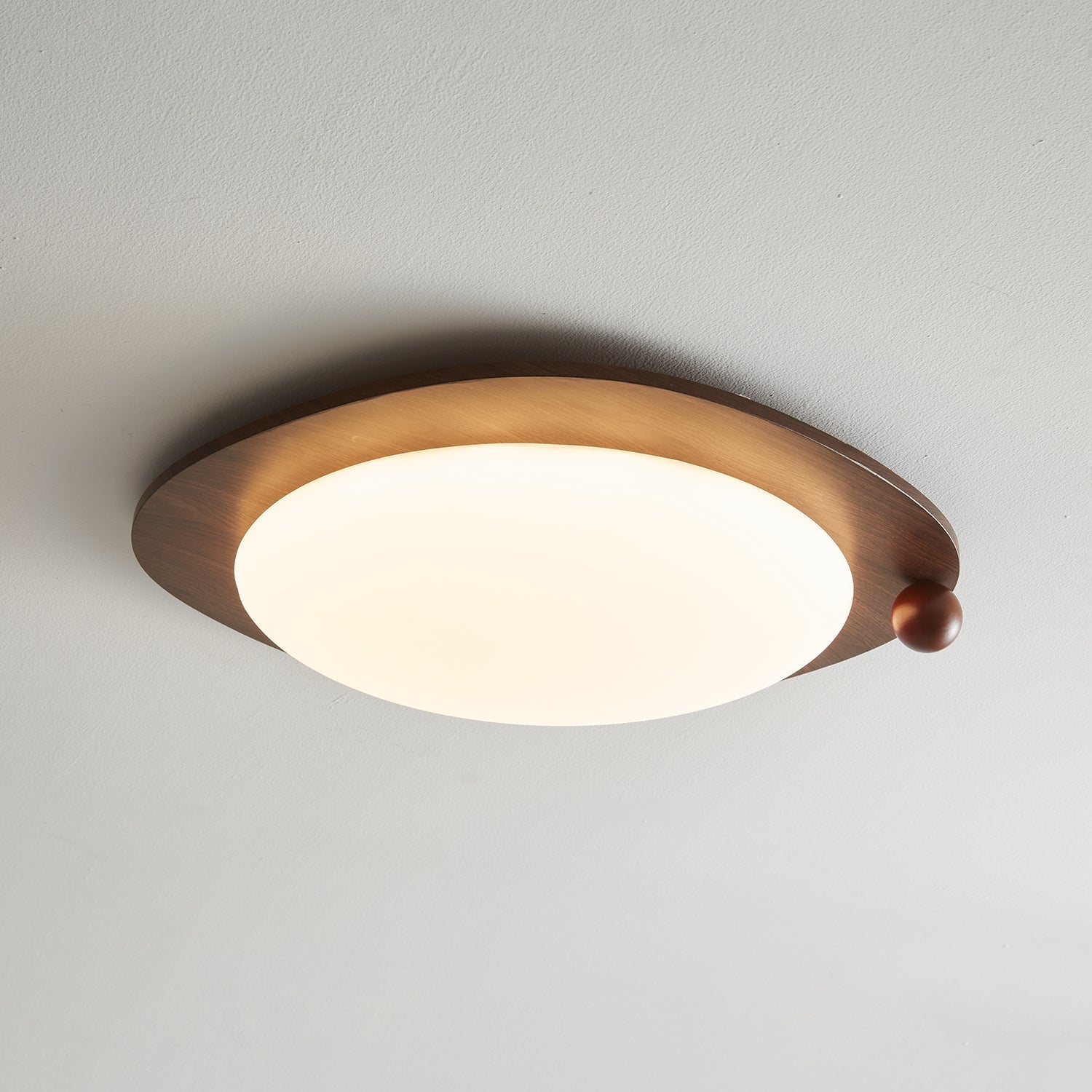 Velaee Lampe Plafonnier Art Nordic Premium