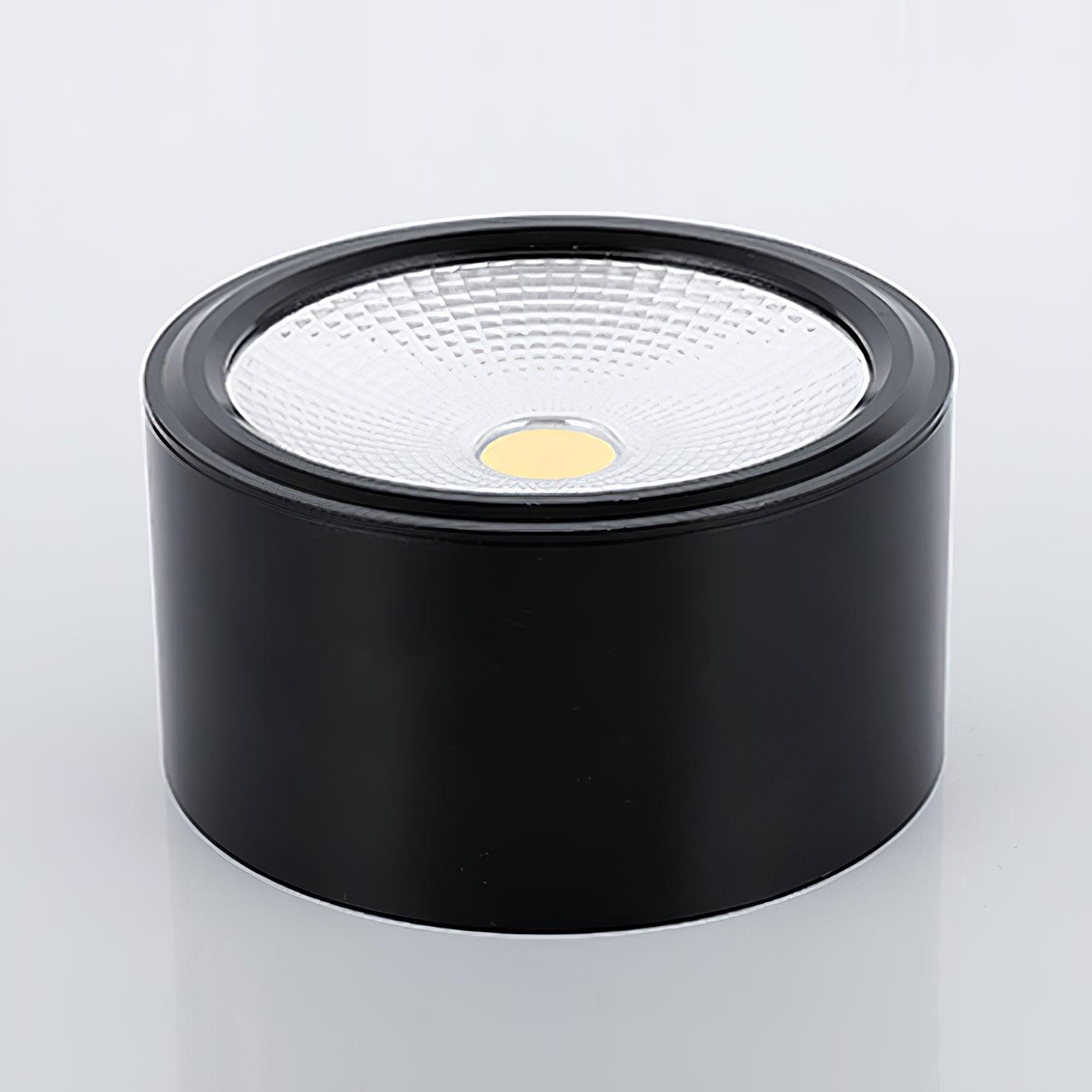 Nero Lampe Plafonnier Classique en Acier