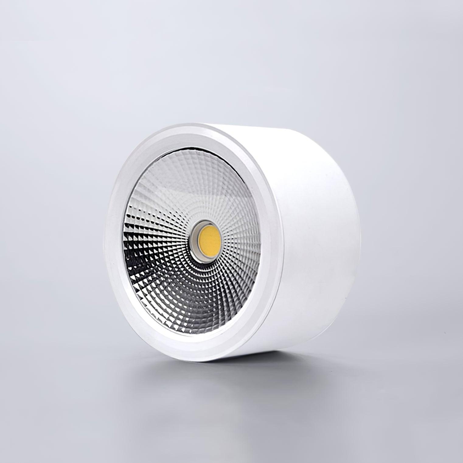 Nero Lampe Plafonnier Classique en Acier