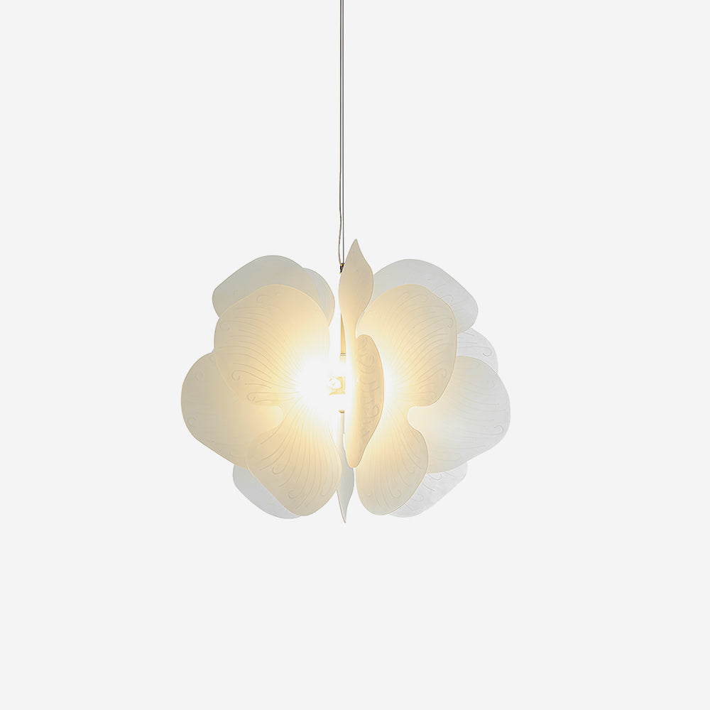 Bolide Suspension Pétale Florale Organique