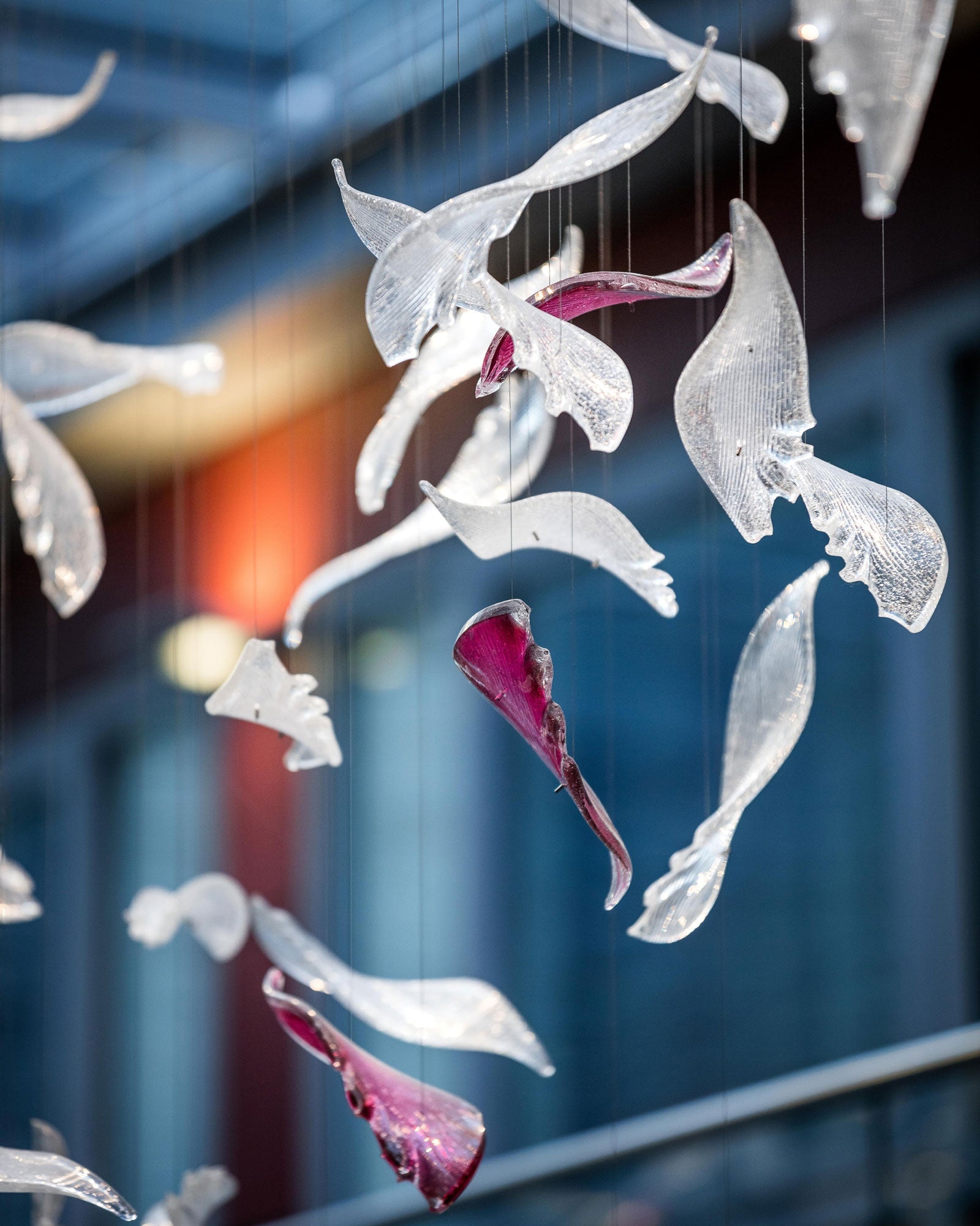 Zathaara Verre Plume Forme Lustre