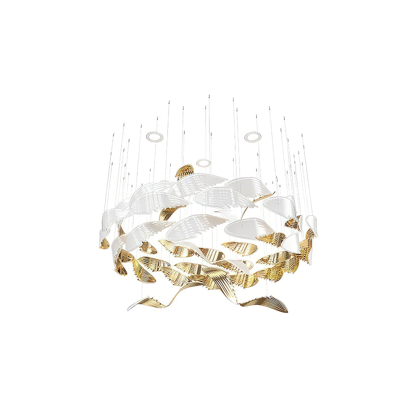 Alvenan Oiseau Vol Lustre