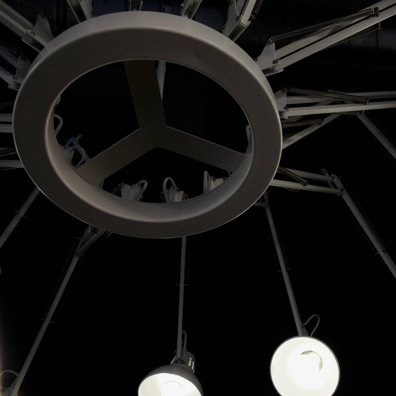 Lustra Lustre Noir à Bras Multiples Ajustables