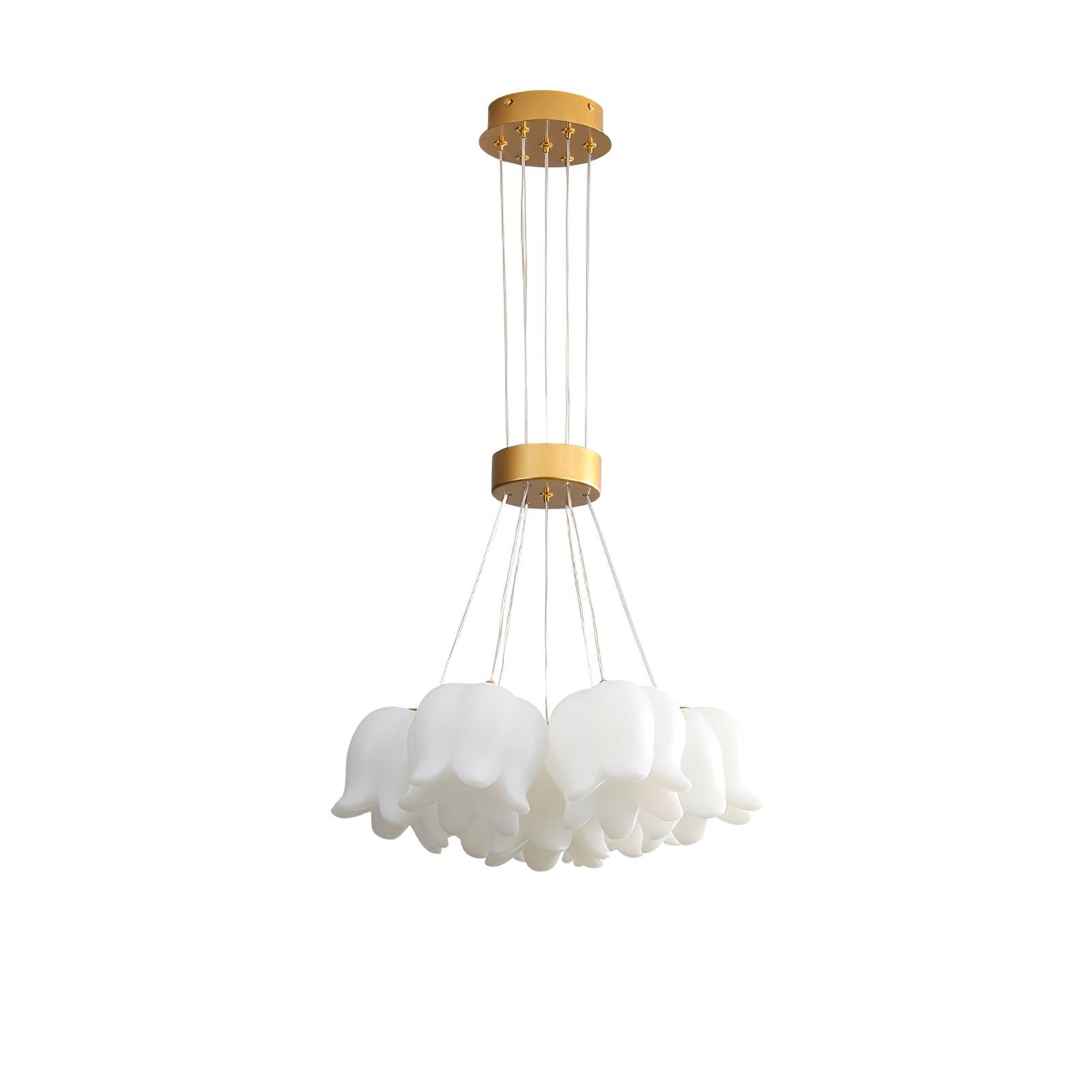 Tucker Suspension moderne
