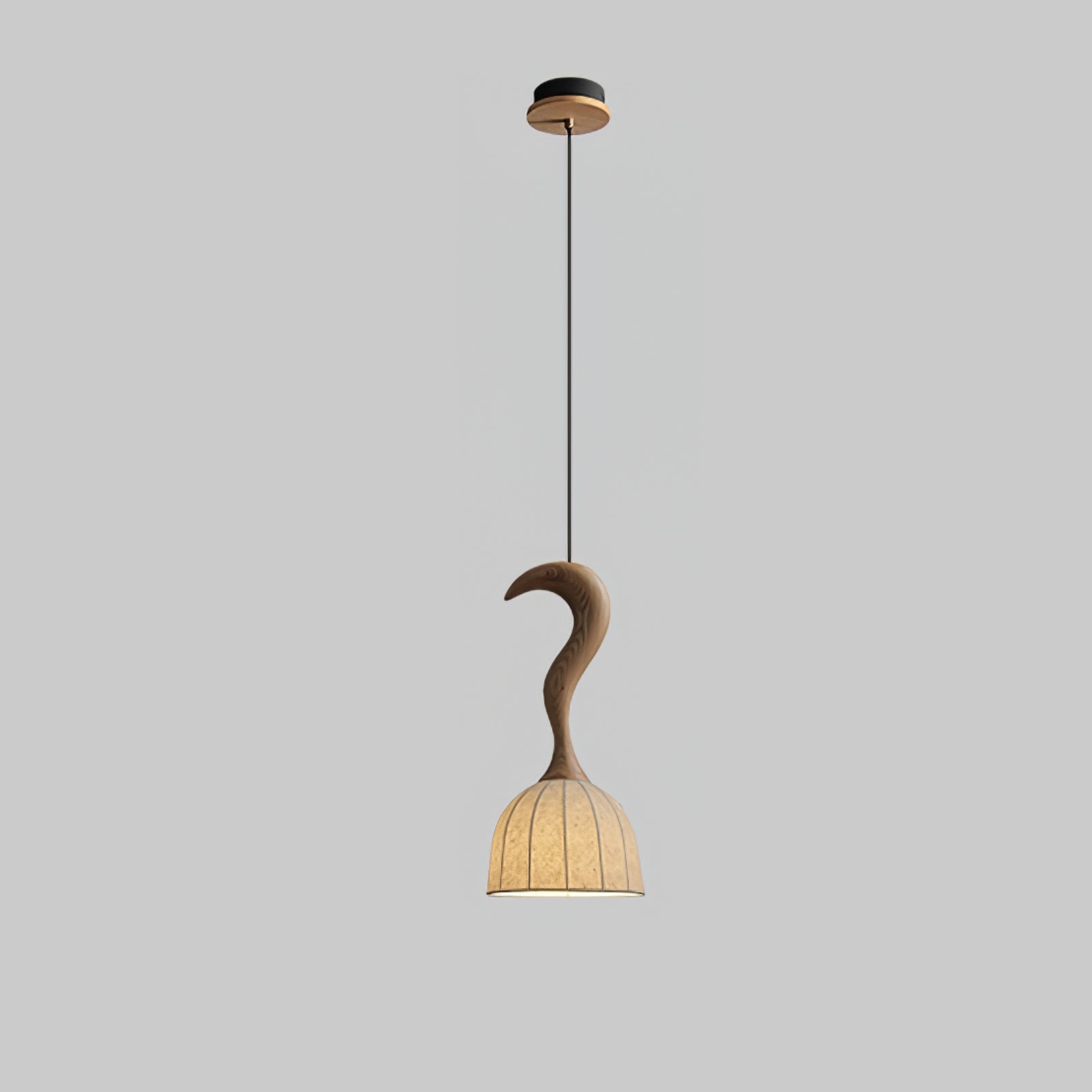 Colire Créativité Tordu Bois Suspension Lumière
