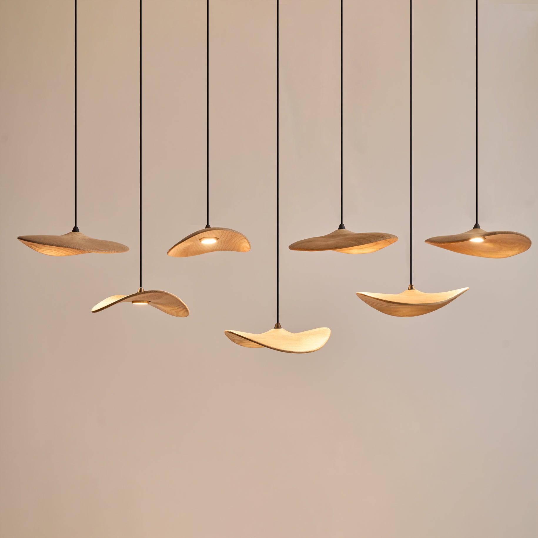 Abbott Lustre Bois Feuille Vide Minimaliste