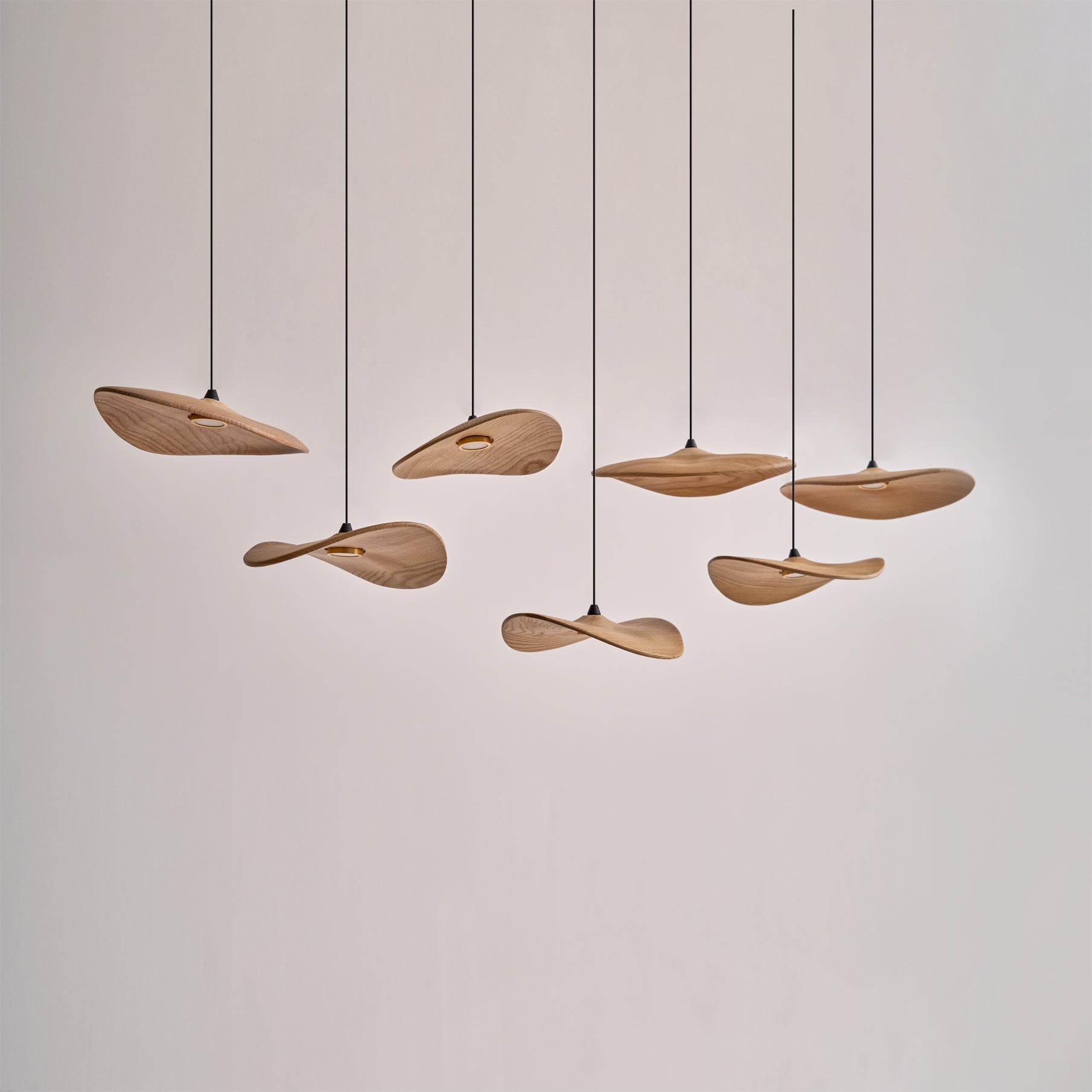 Abbott Lustre Bois Feuille Vide Minimaliste
