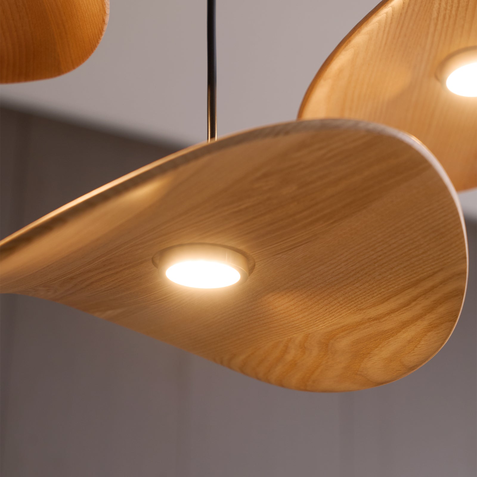 Abbott Lustre Bois Feuille Vide Minimaliste
