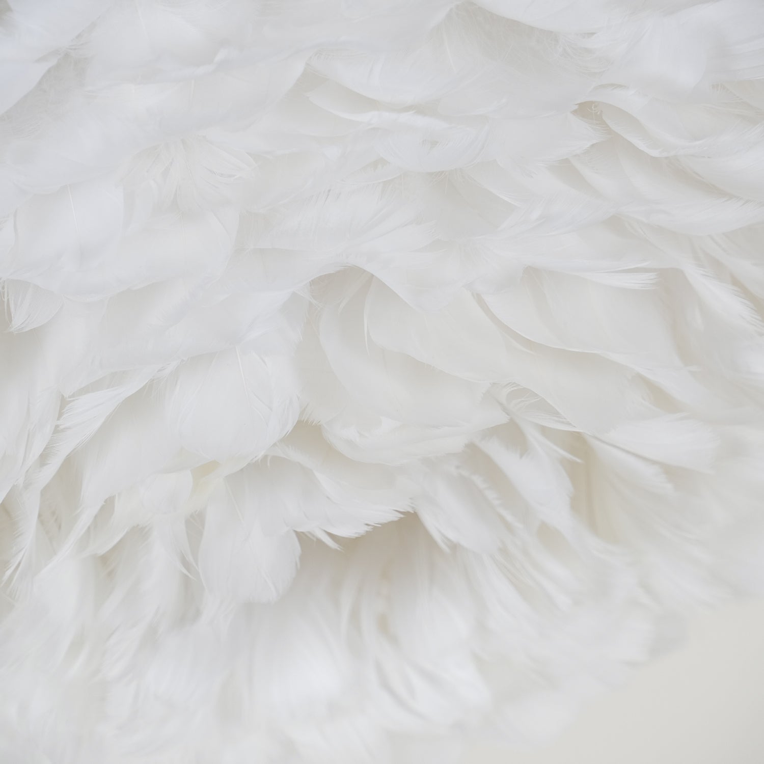 Zalore Plafonnier Art Nordic Premium Plumes