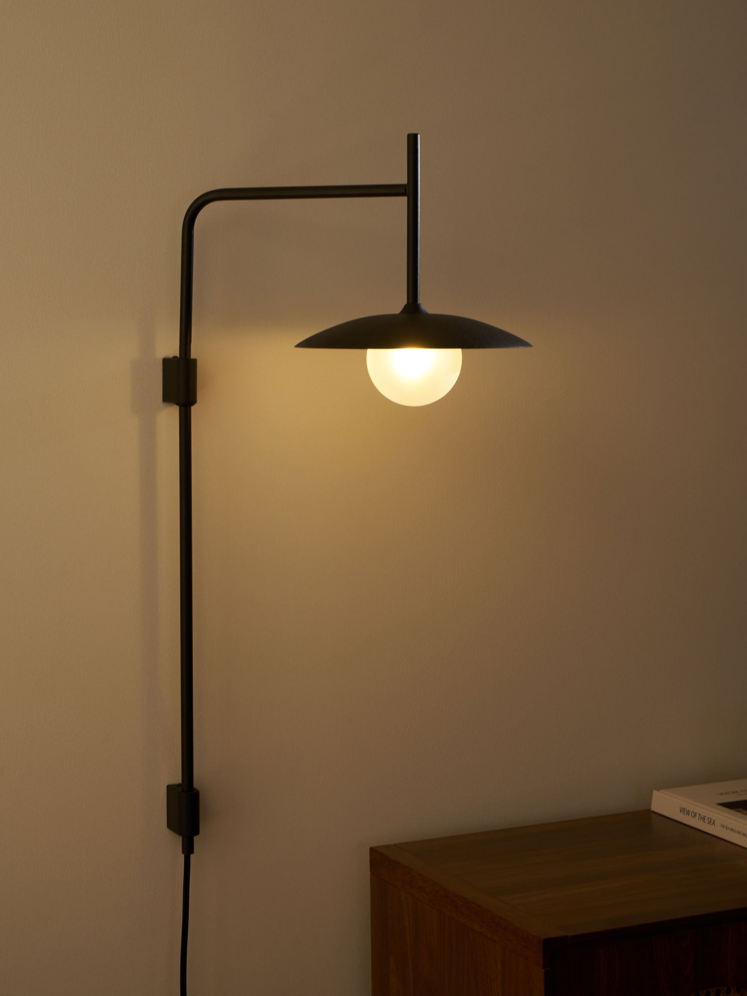 Edan Swing Arm Plug-in Glass Wall Lamp