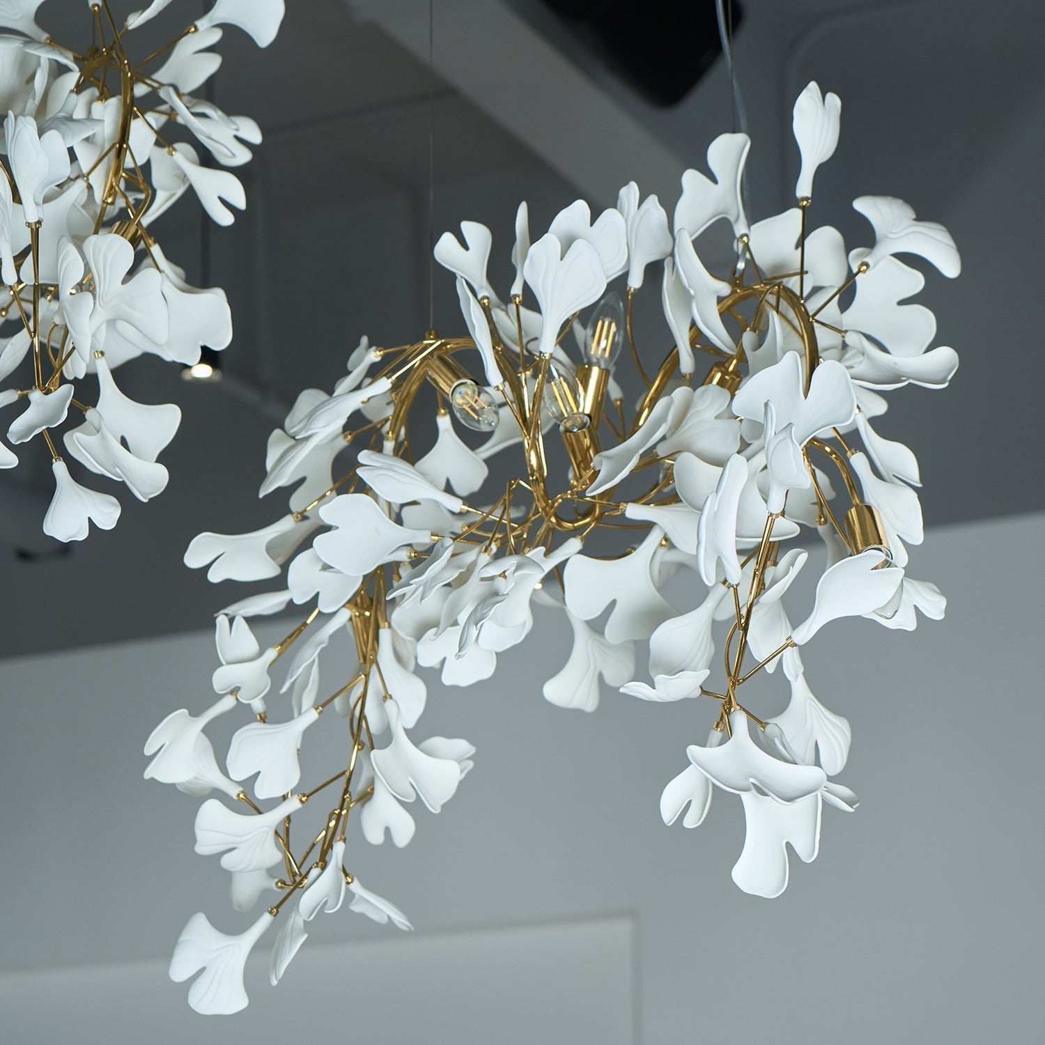 Elysia Lustra Lustre Canopée Florale Élégant