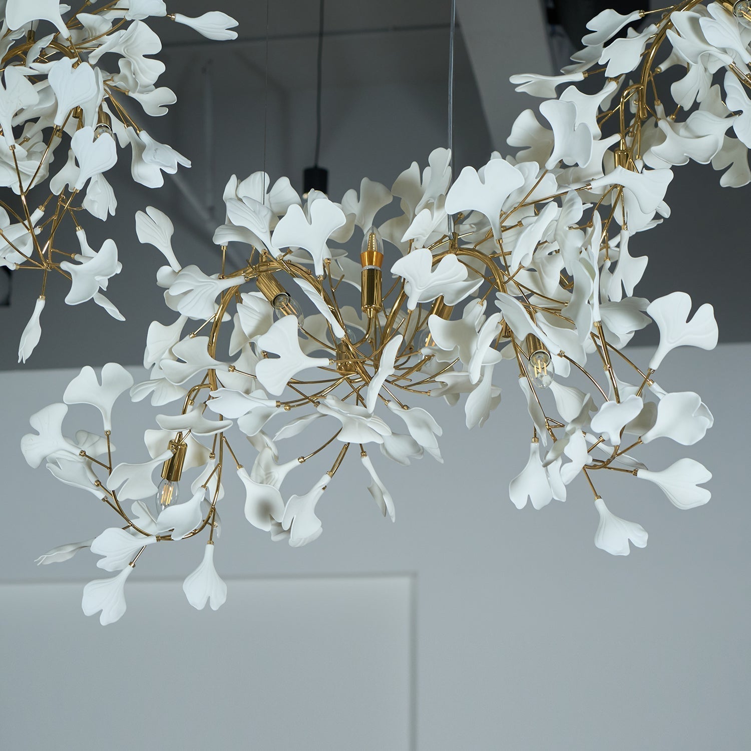Elysia Lustra Lustre Canopée Florale Élégant