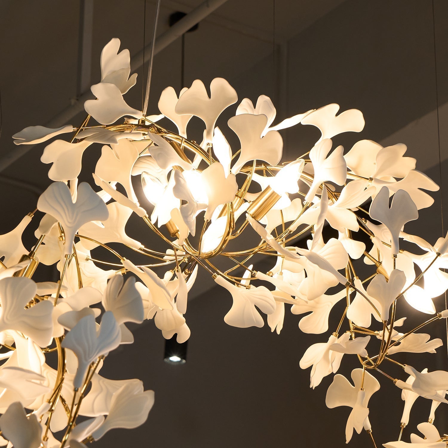 Elysia Lustra Lustre Canopée Florale Élégant