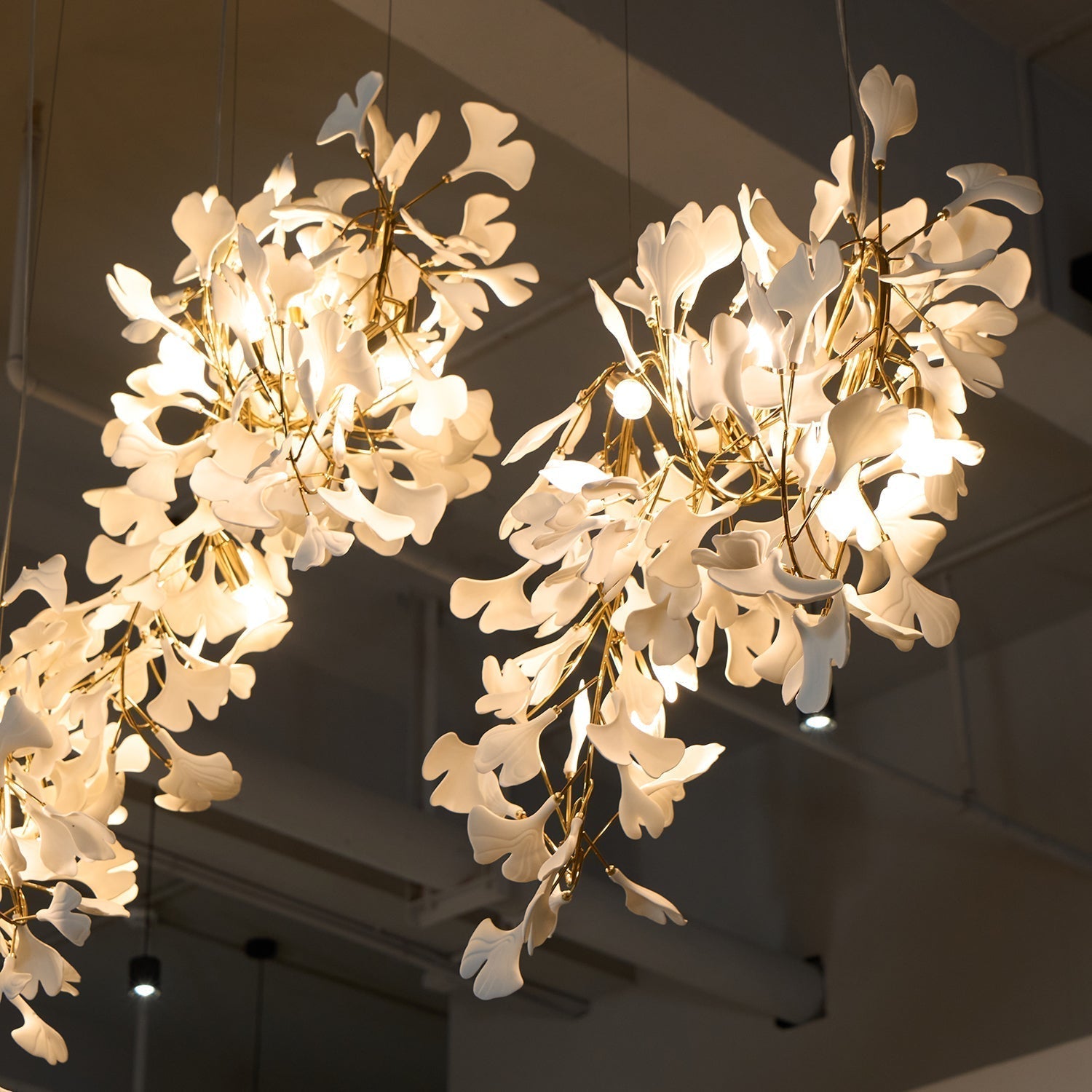 Elysia Lustra Lustre Canopée Florale Élégant