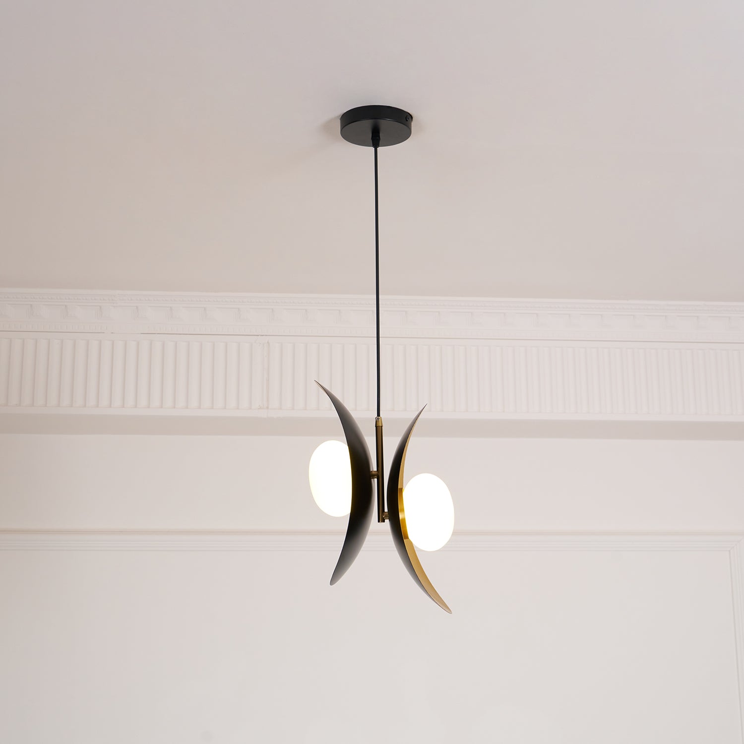 Fioran Suspension Contemporaine