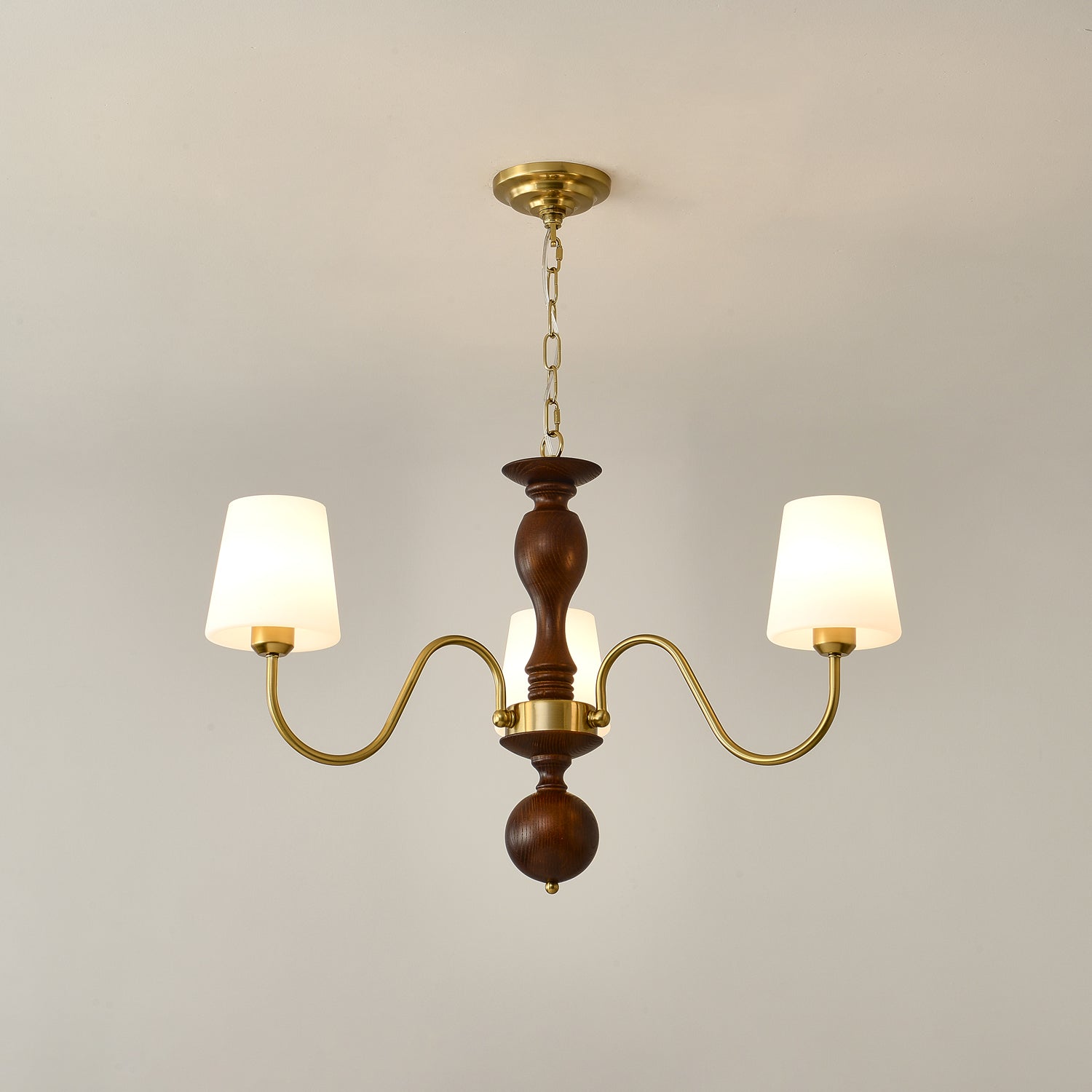 Lustra Lustre Laiton Bois Rustique Vintage