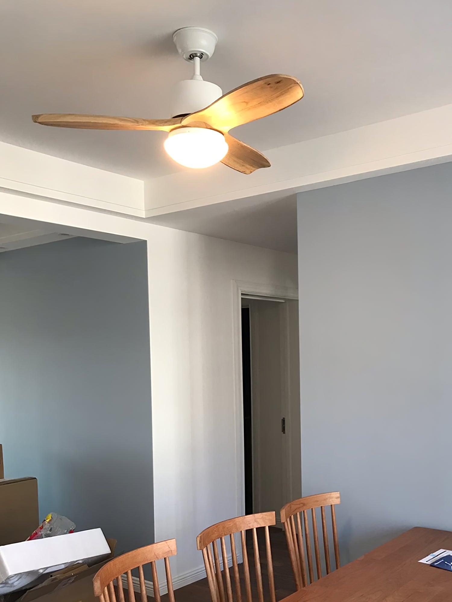 Utalis Plafonnier Ventilateur Naturel Élégant