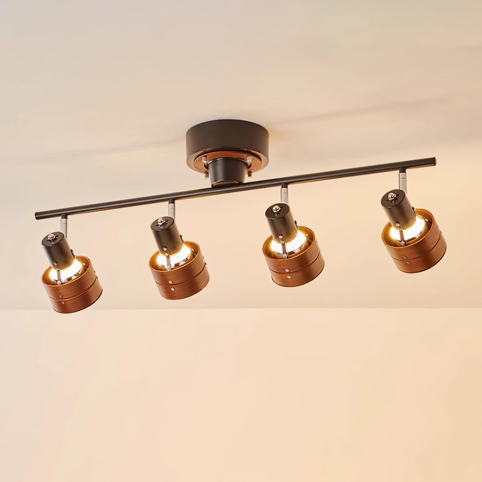 Daven Lustra Projecteur Rail 4-Lumières Ajustable