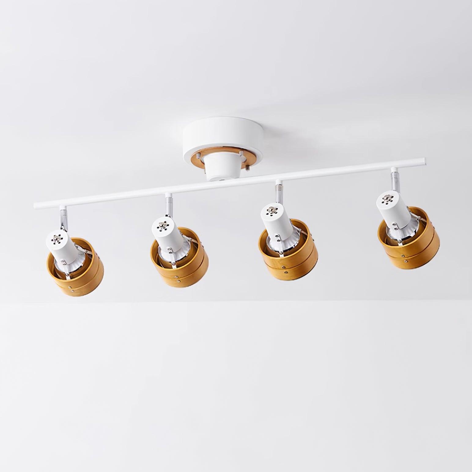 Daven Lustra Projecteur Rail 4-Lumières Ajustable