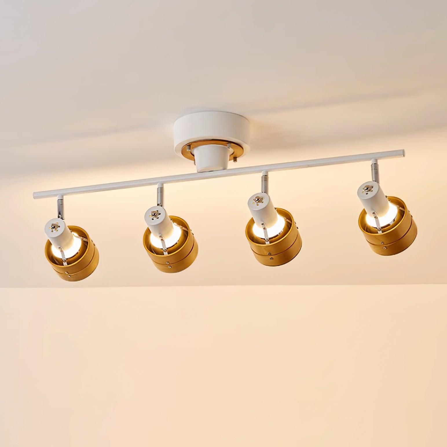 Daven Lustra Projecteur Rail 4-Lumières Ajustable