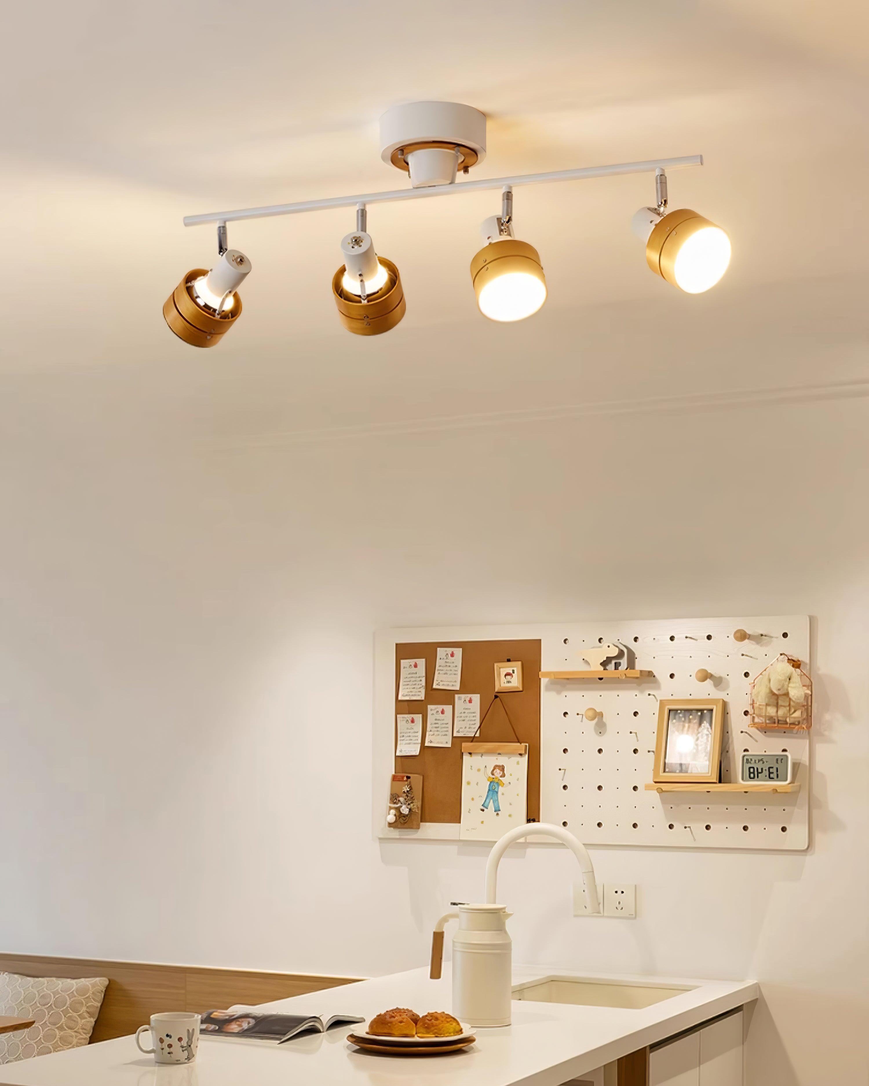 Daven Lustra Projecteur Rail 4-Lumières Ajustable