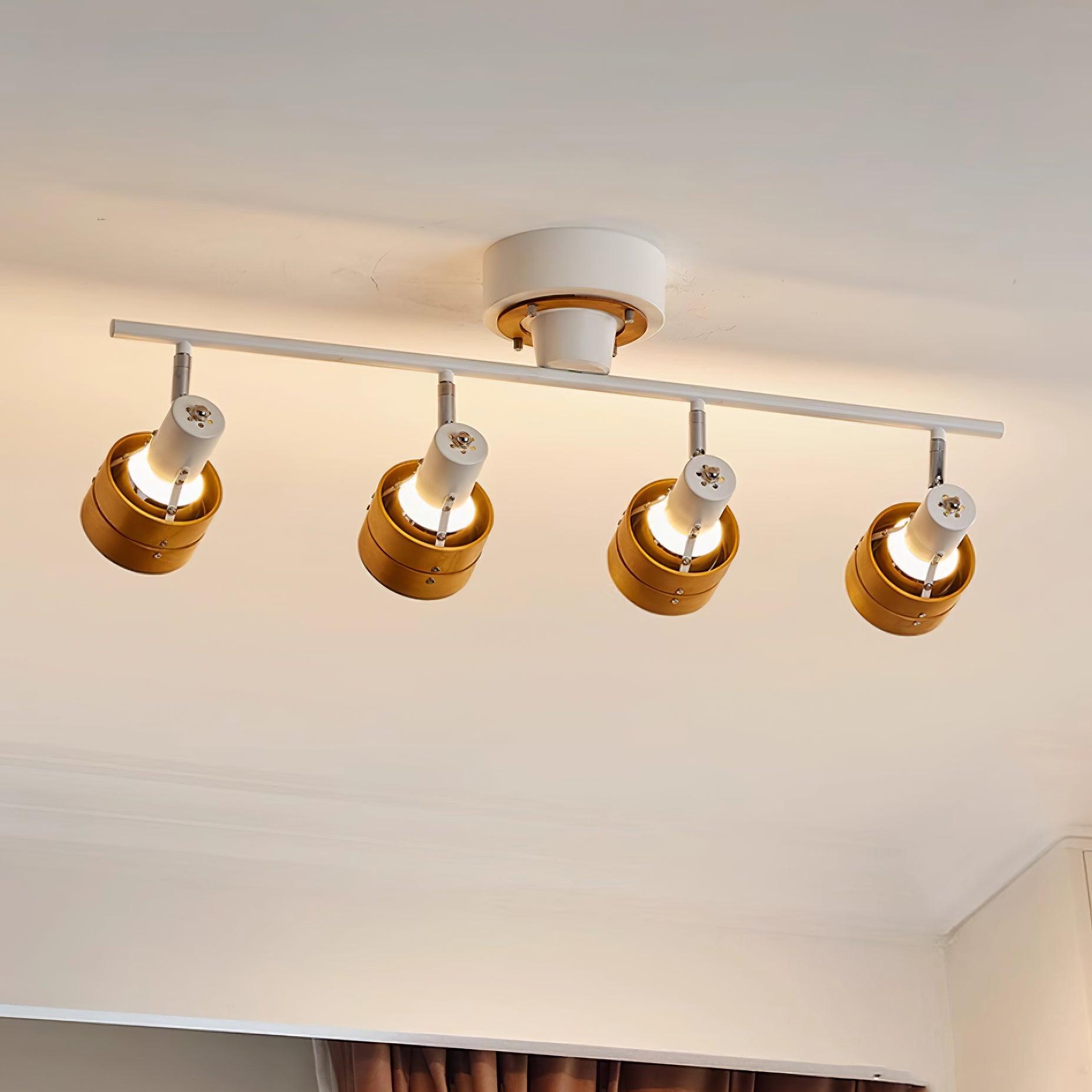 Daven Lustra Projecteur Rail 4-Lumières Ajustable