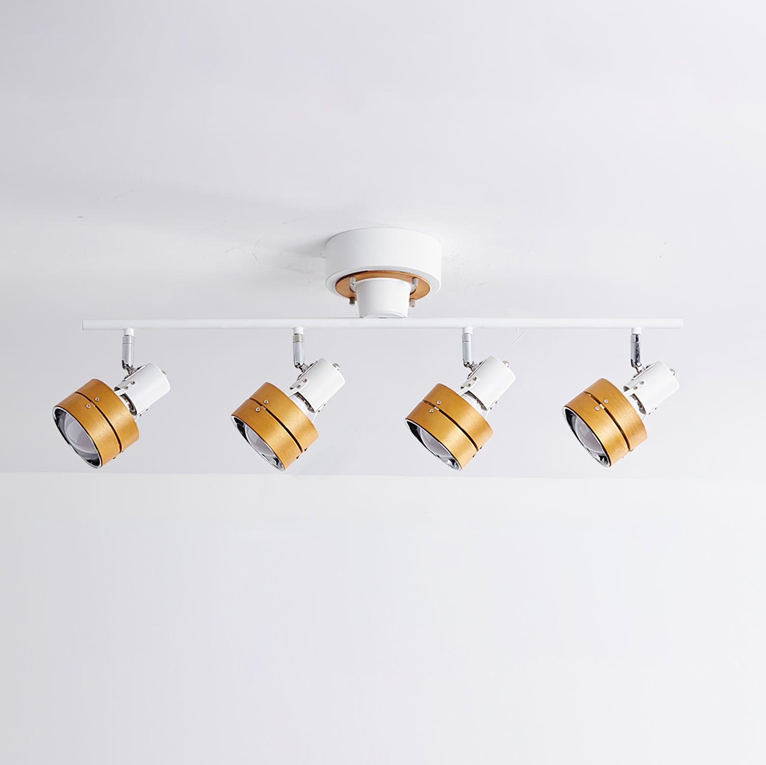Daven Lustra Projecteur Rail 4-Lumières Ajustable