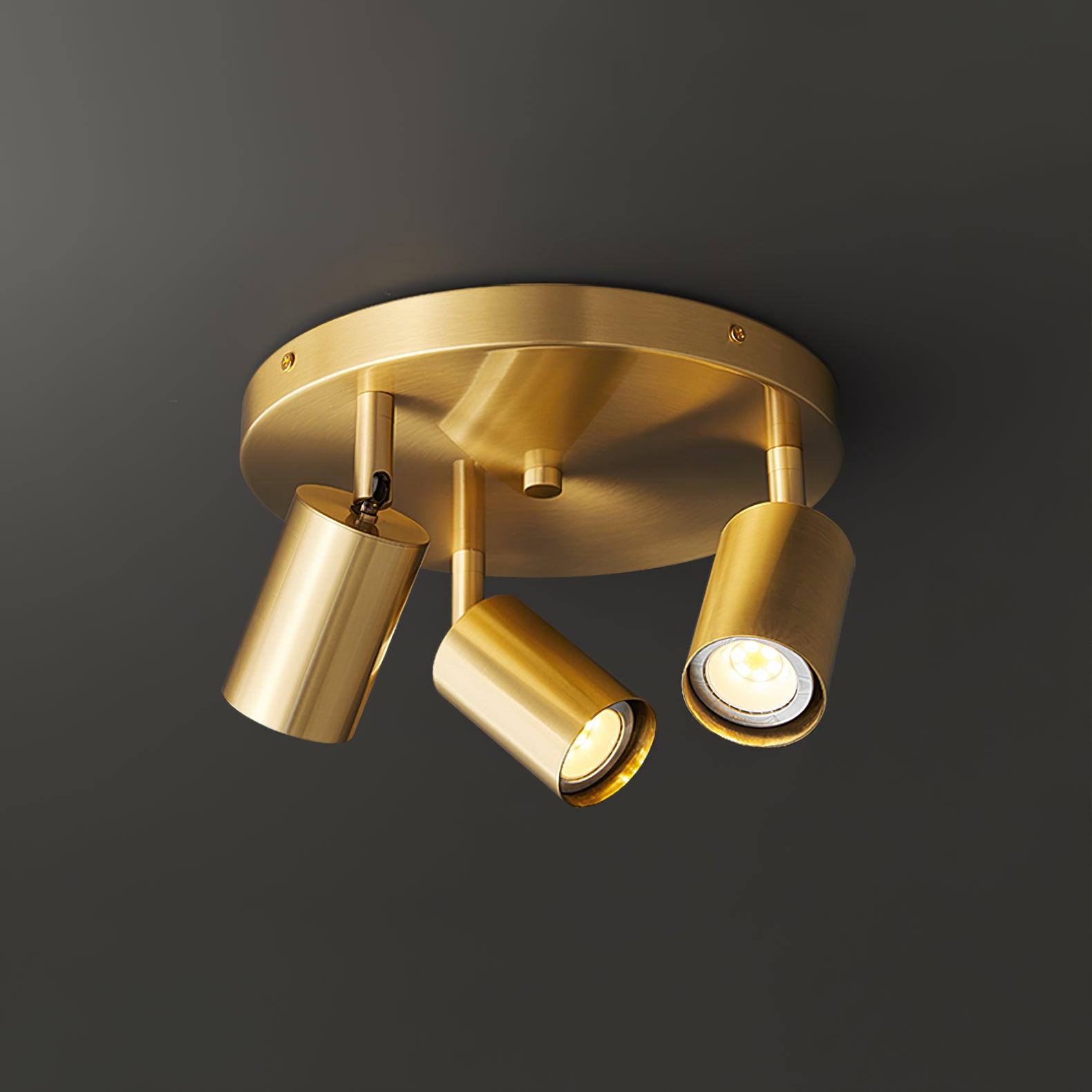 Solara Ceiling Lamp Cylinder Adjustable Contemporary