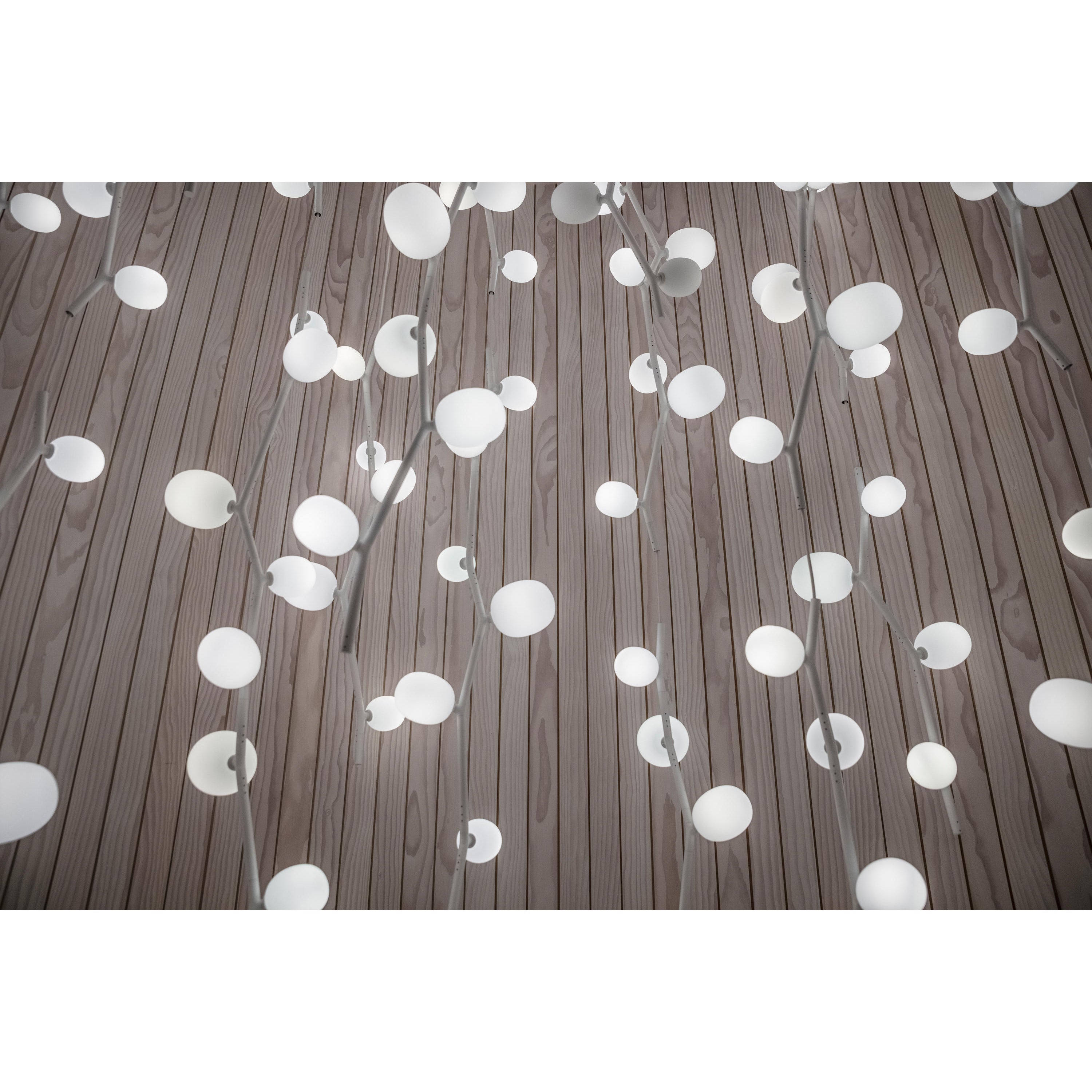 Isolora Suspension Verticale Verre Moderne