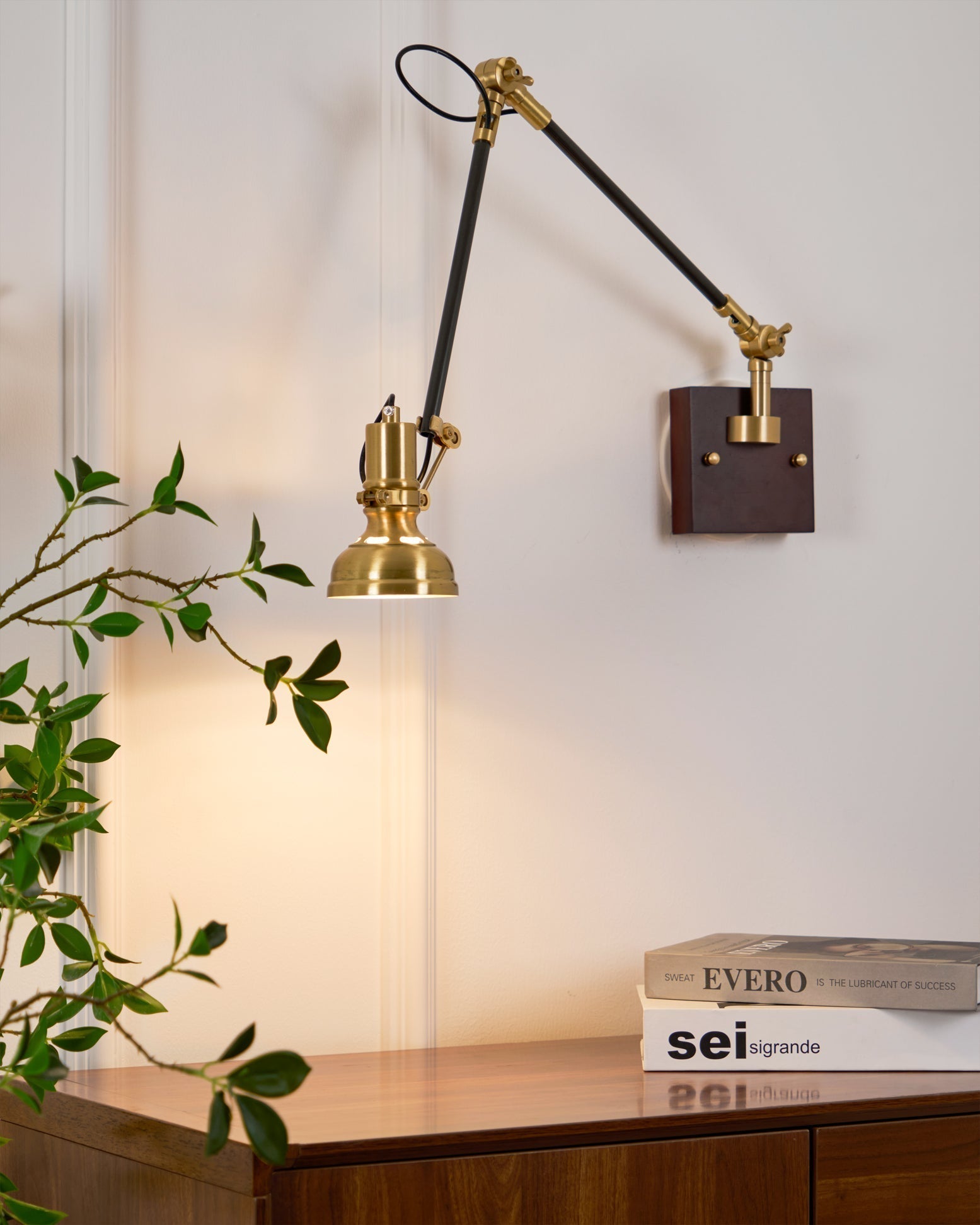 Kane Applique Murale Bras Pivotant Ajustable