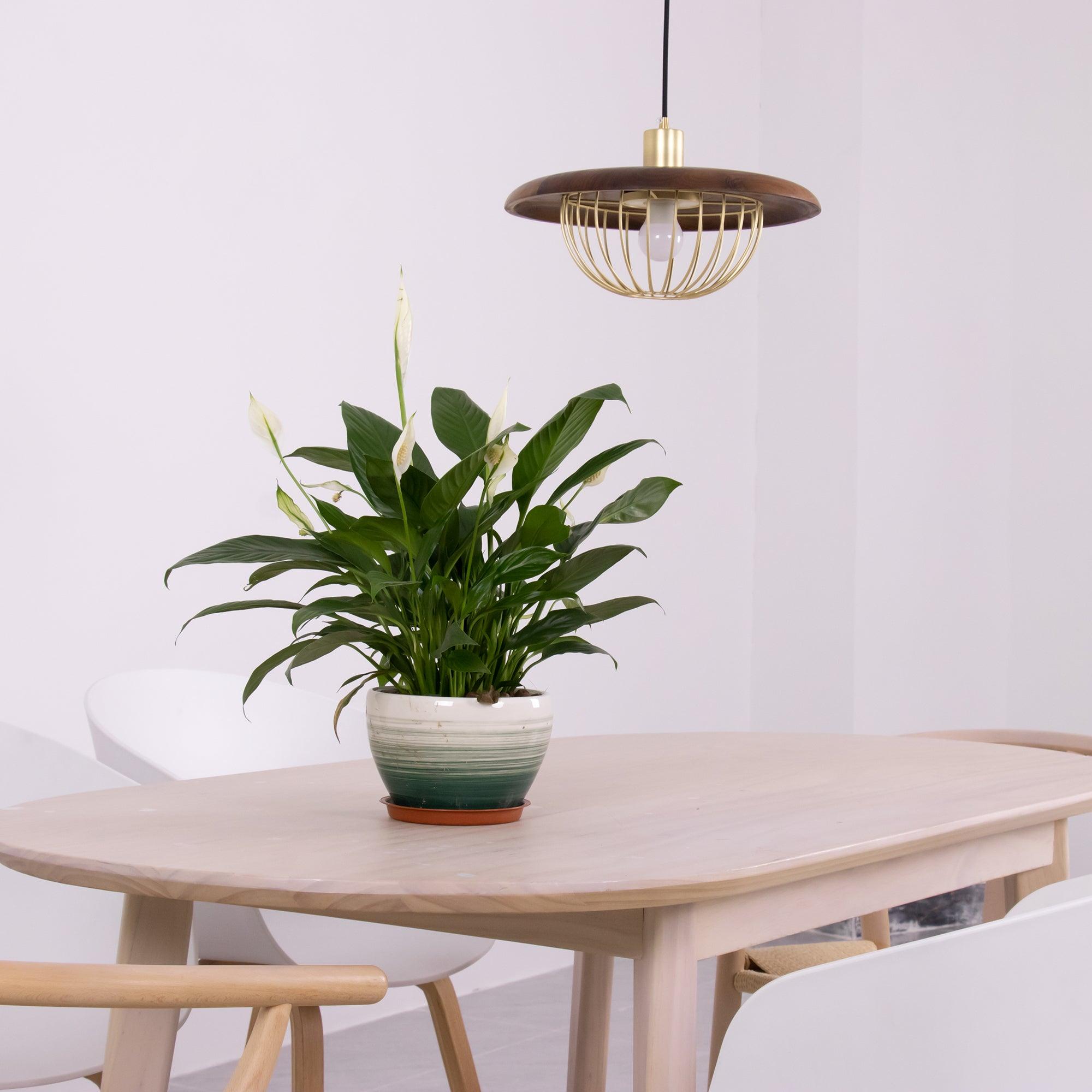 Elanora Wood Retro Vintage Pendant Lamp