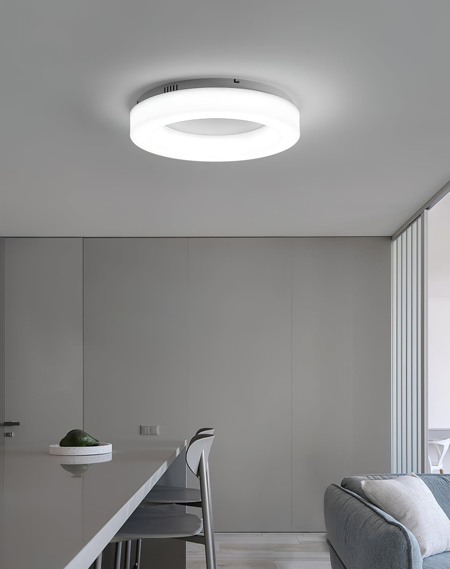 Erraeiel Lampe Plafonnier Artistique Moderne Minimaliste
