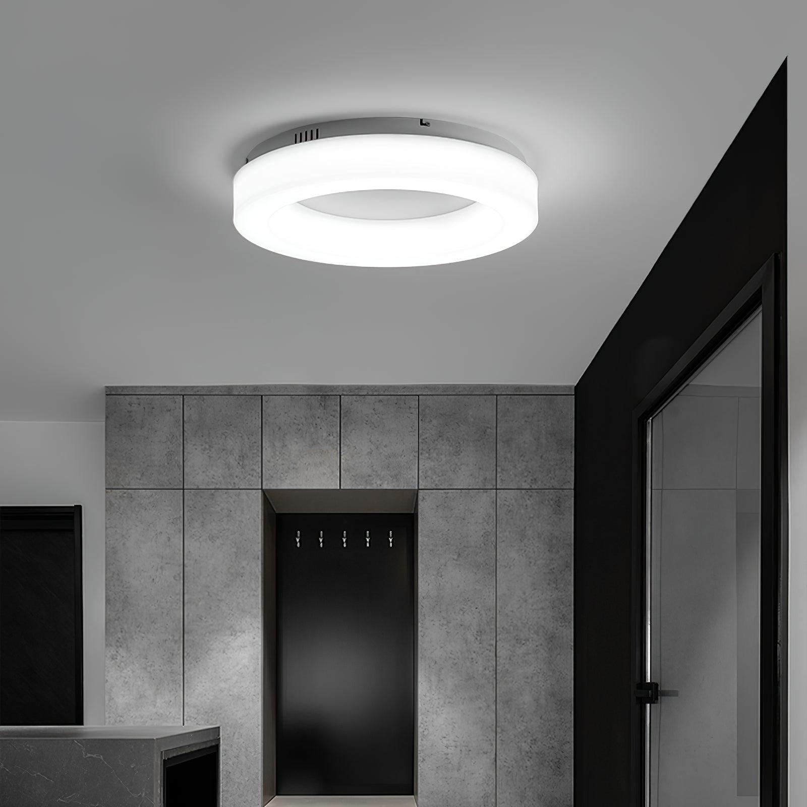 Erraeiel Lampe Plafonnier Artistique Moderne Minimaliste
