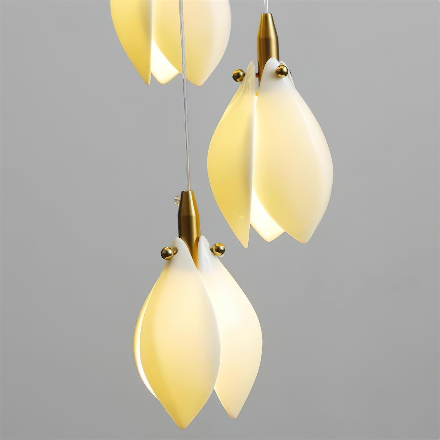 Lilium Lustre Pétales en Cascades Suspendus