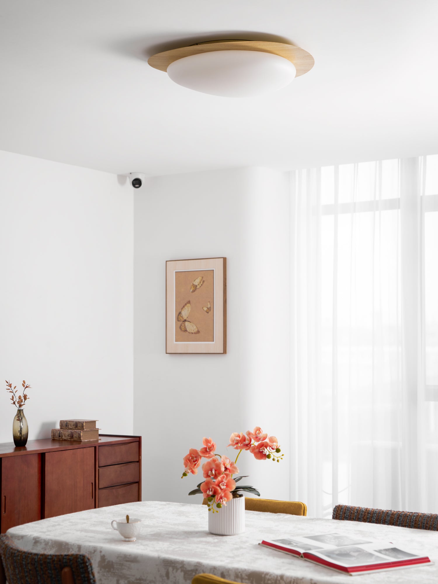 Solara Plafonnier Galet en Noyer Acrylique LED