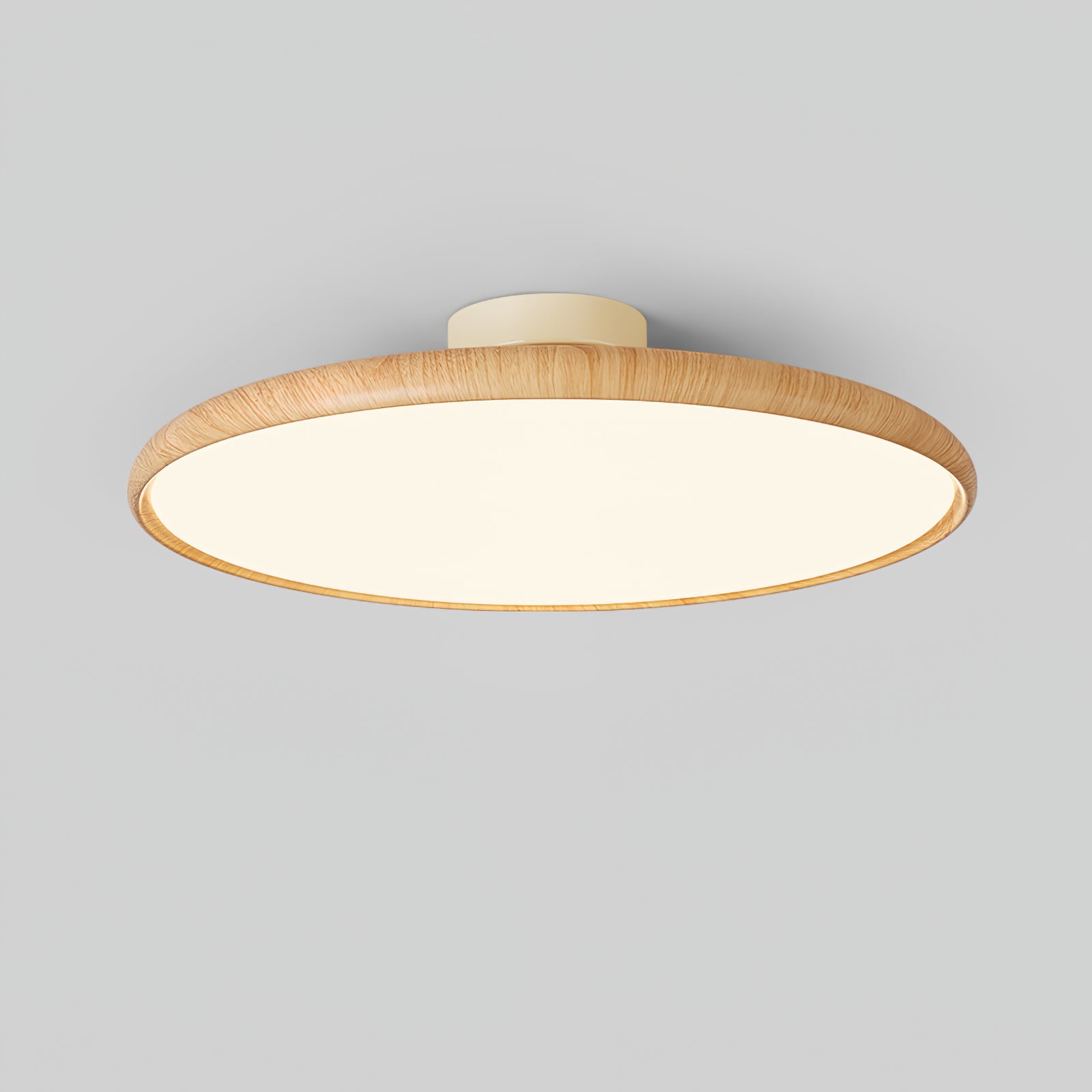Ishaos Moderne Minimaliste Réglable Plafonnier