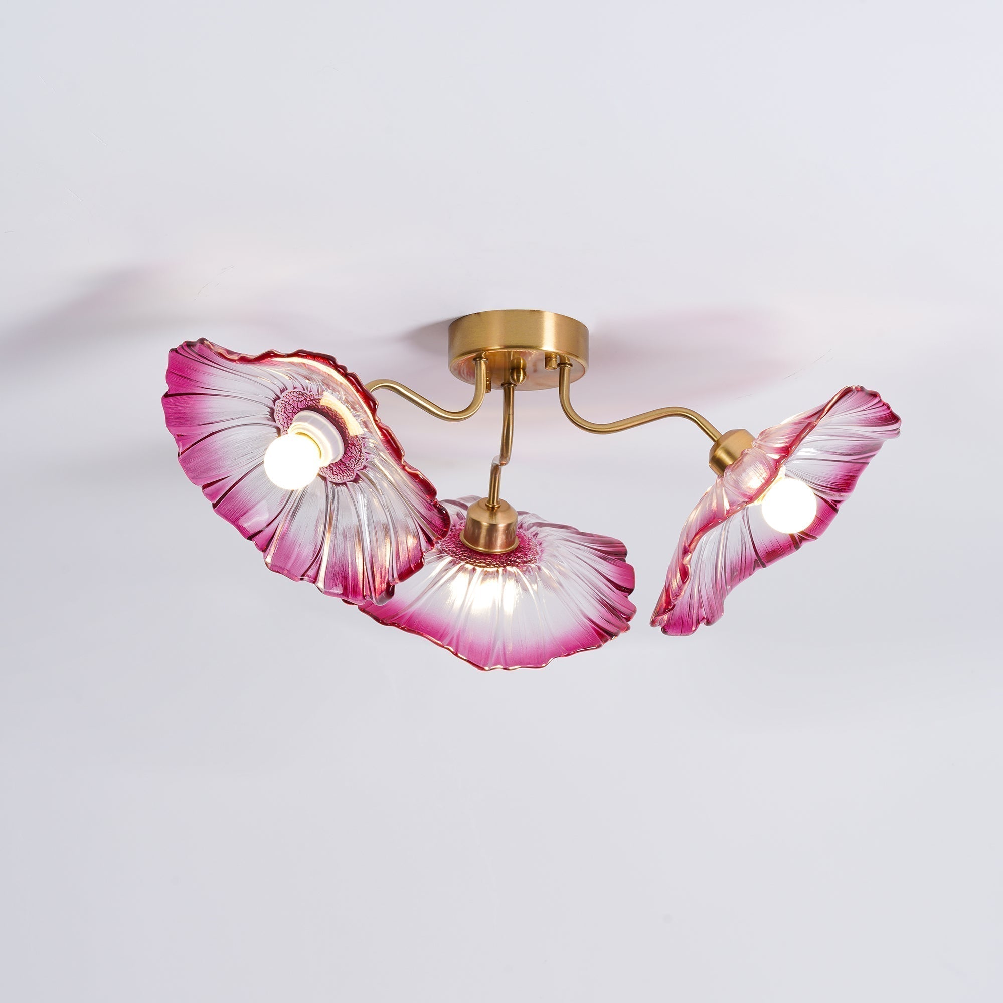 Solara Plafonnier en Verre Feuille avec Laiton Élégant